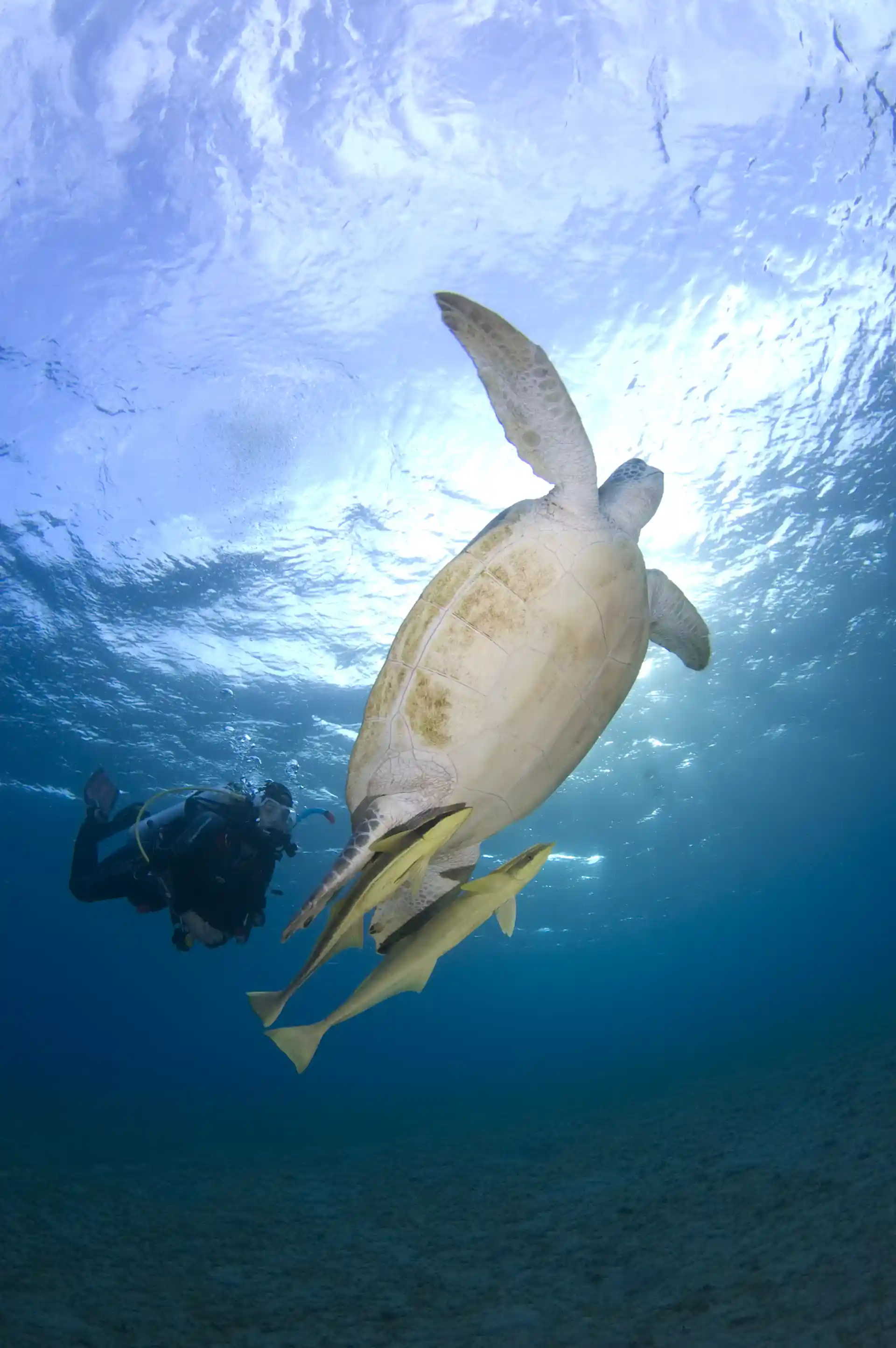 Photo de l'activité