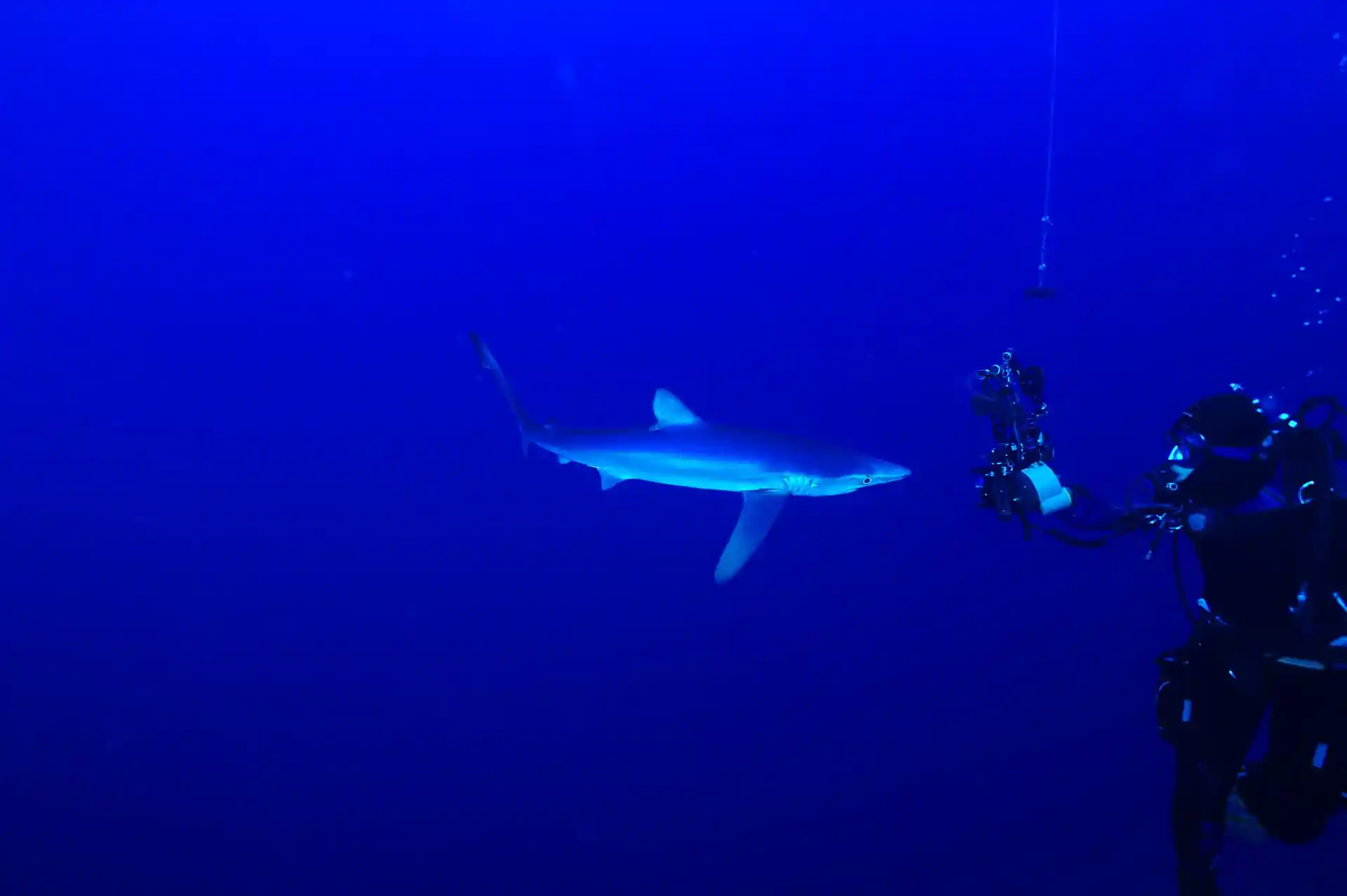 Dive site photo