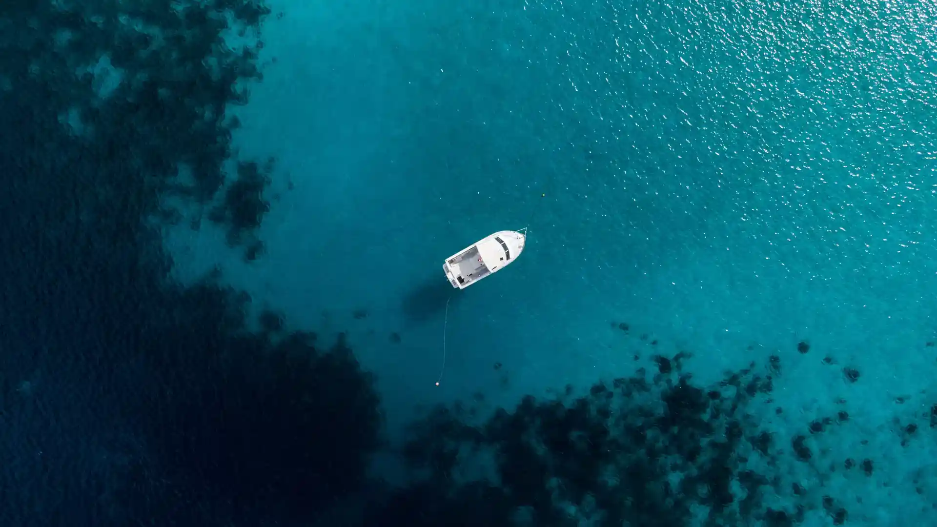 Dive shop photo