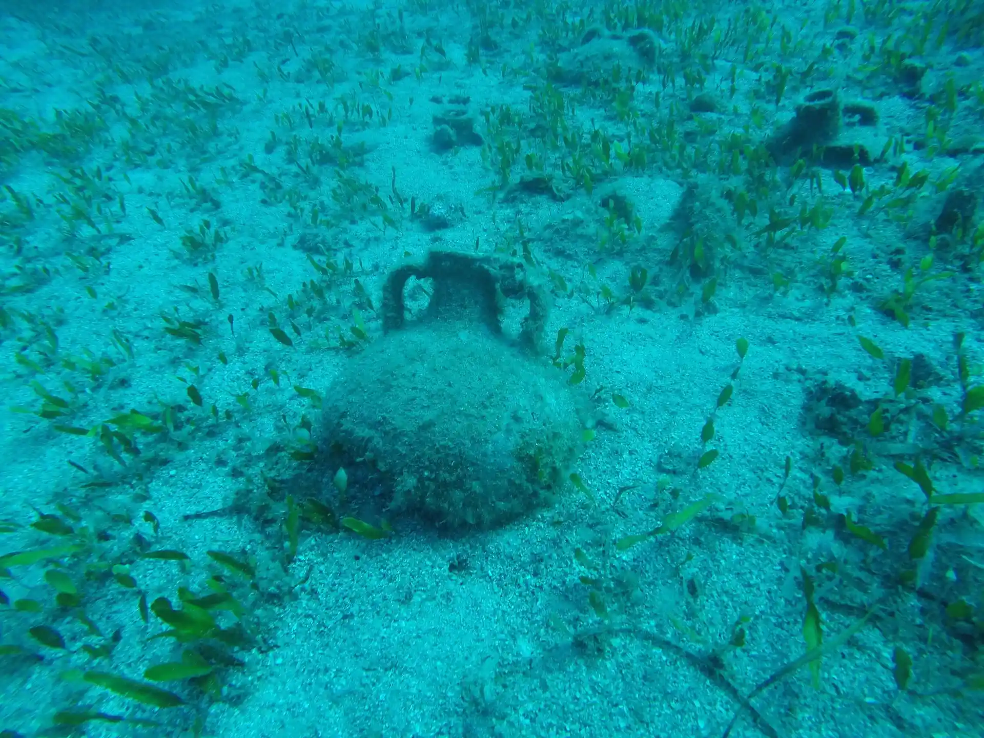 Foto del sitio de buceo