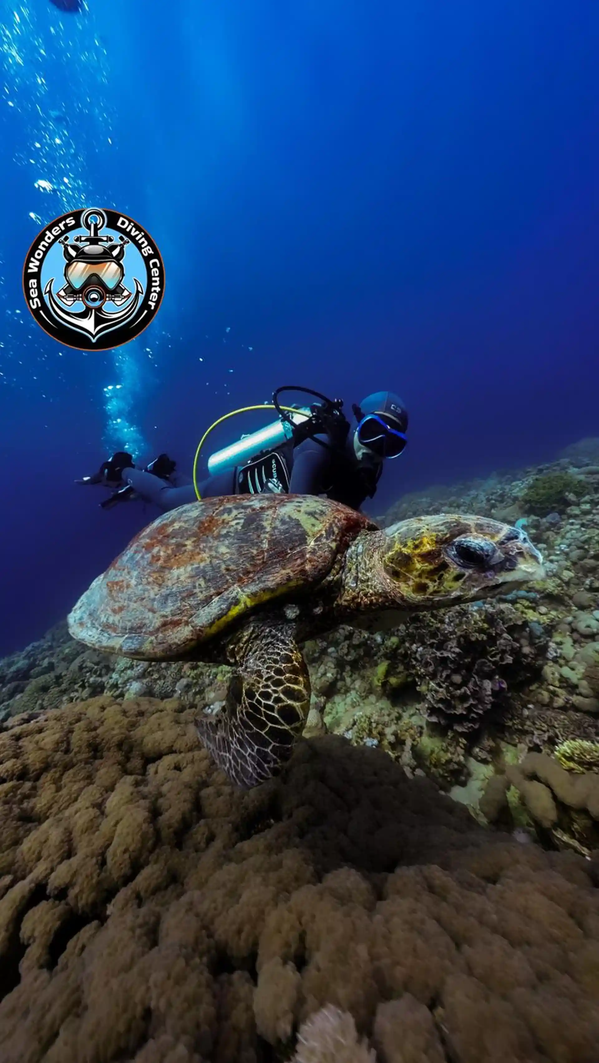 Dive site photo