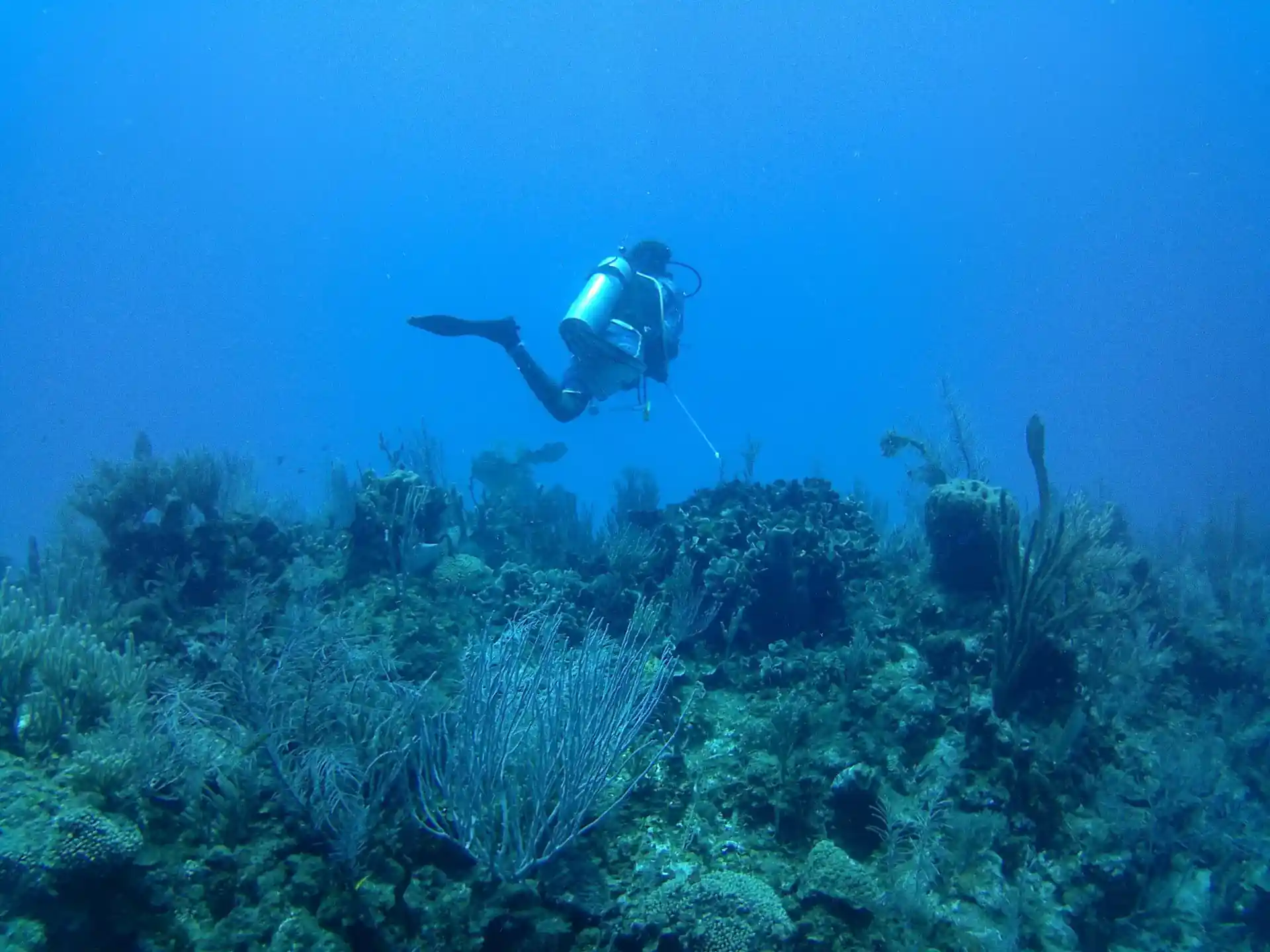 Foto van de duiklocatie