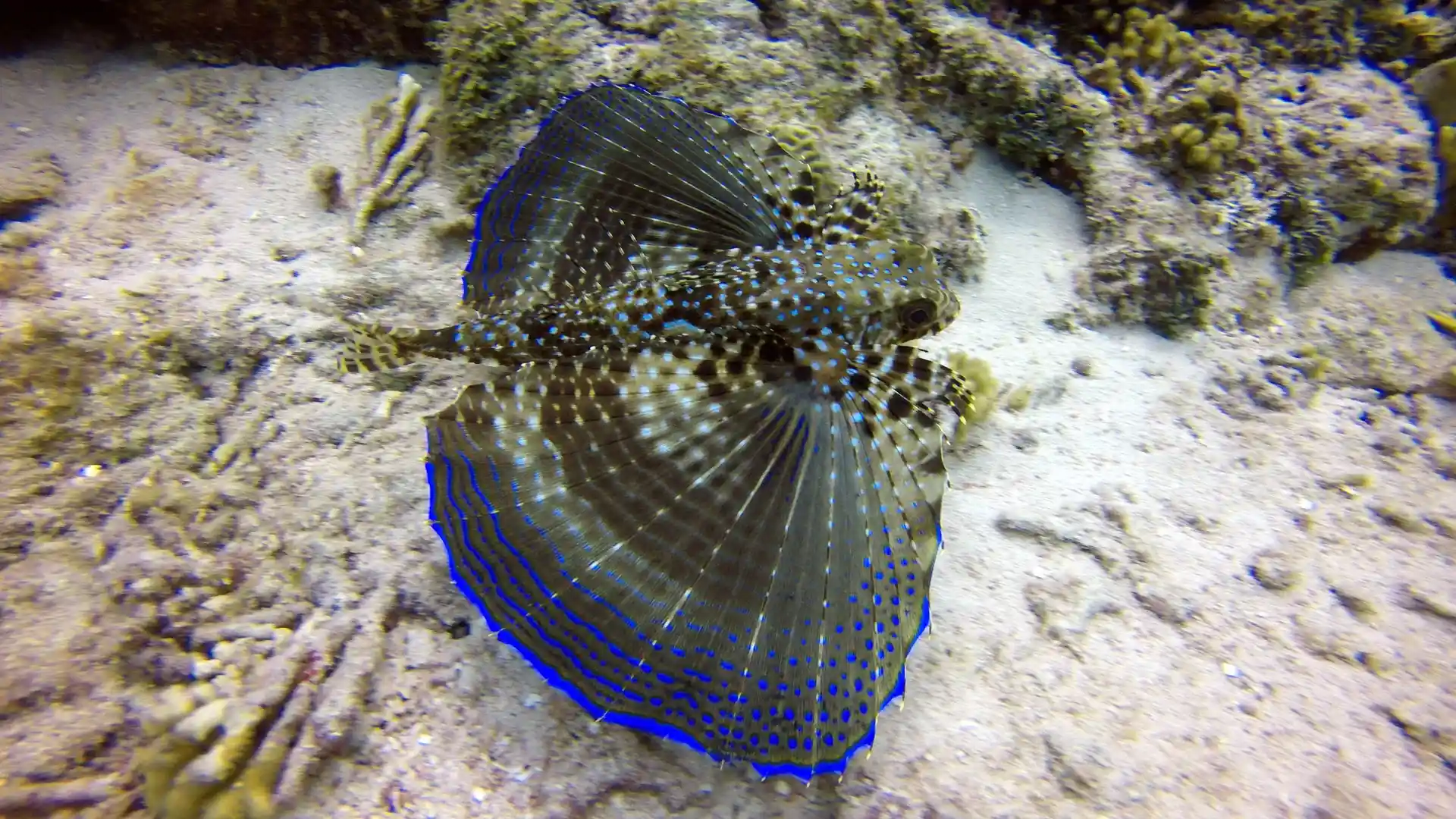 Dive site photo