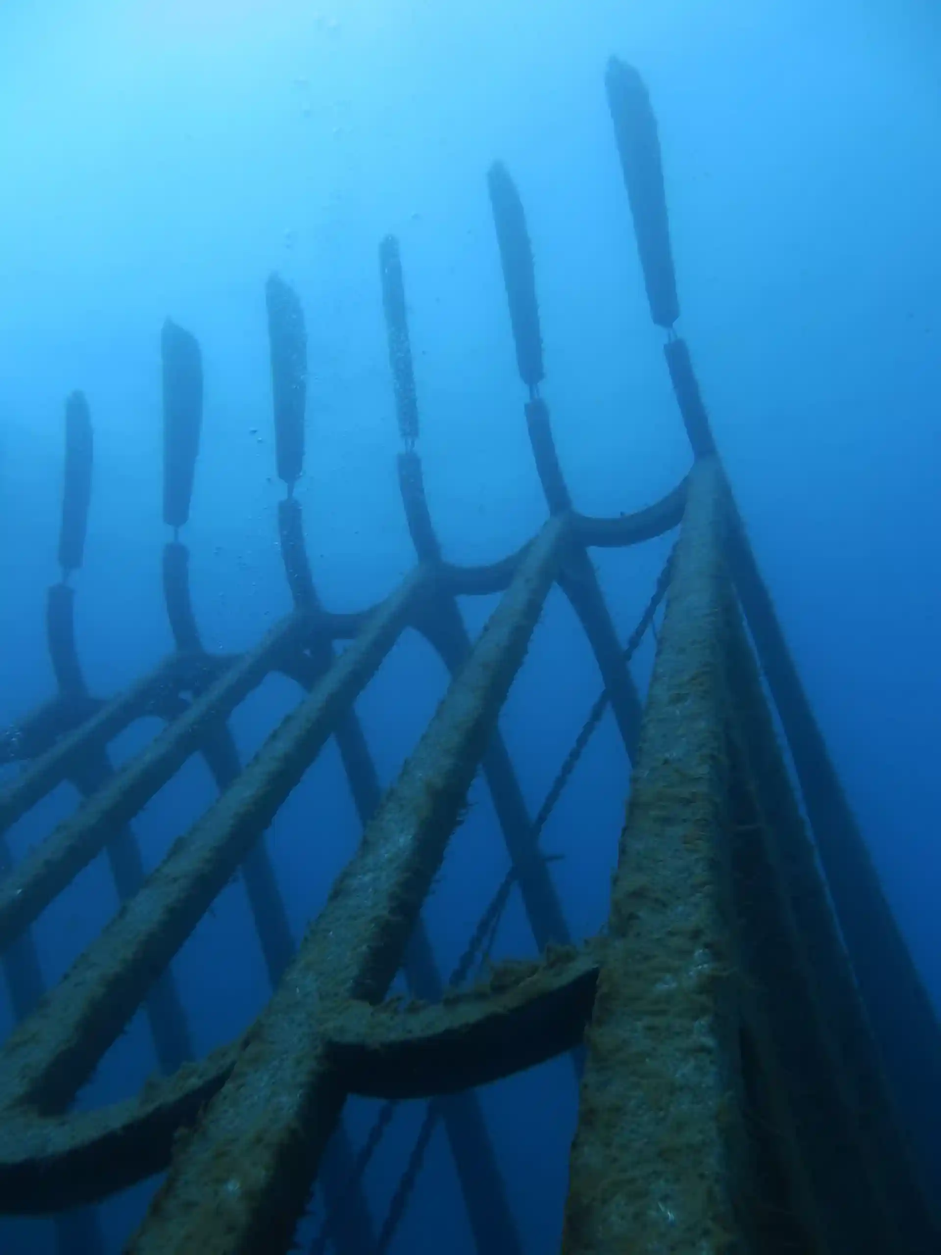 다이빙 포인트 사진