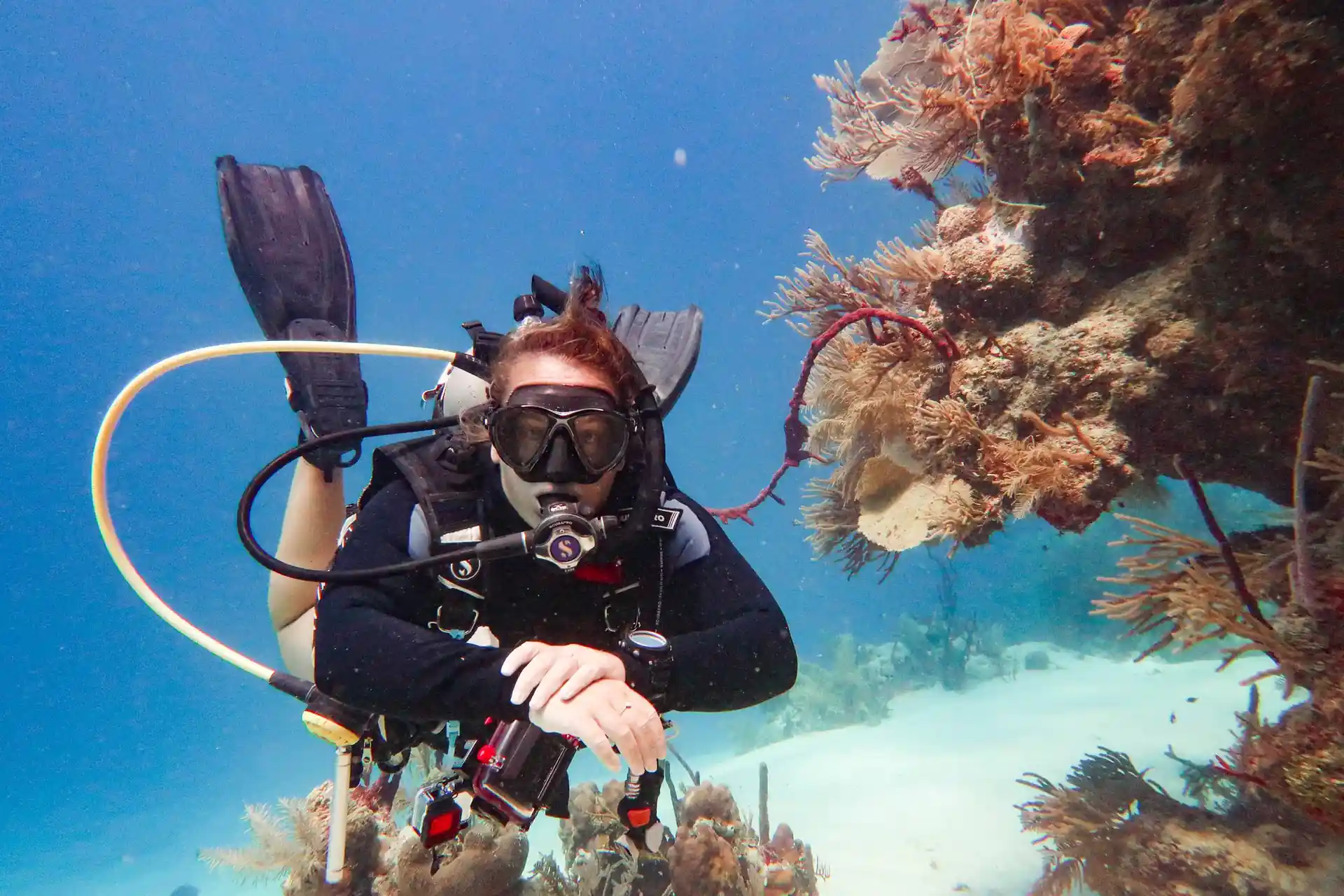 Dive shop photo