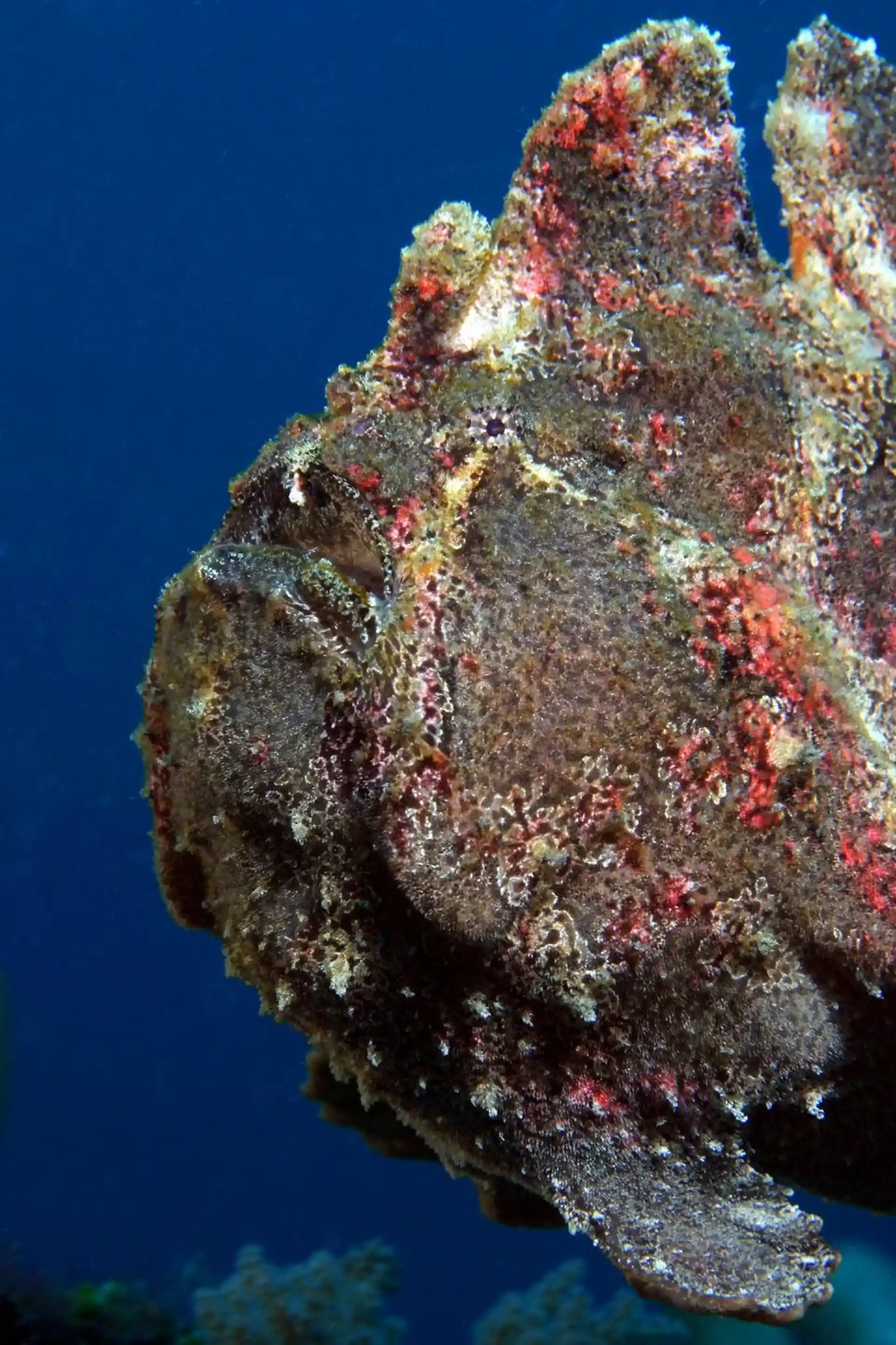 Foto des Tauchplatzes