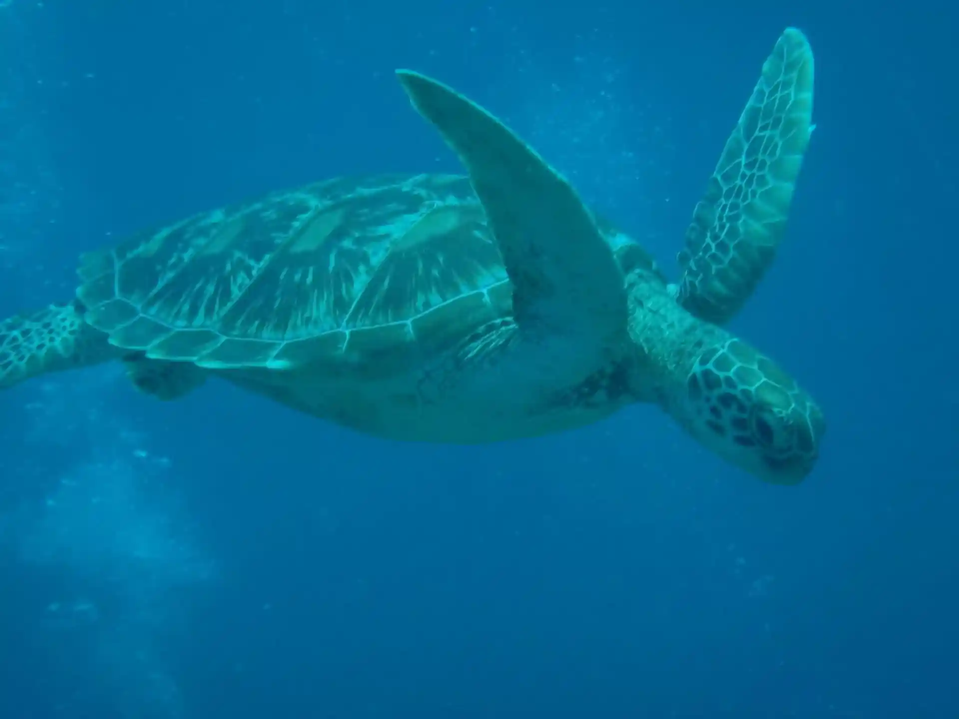 Dive site photo