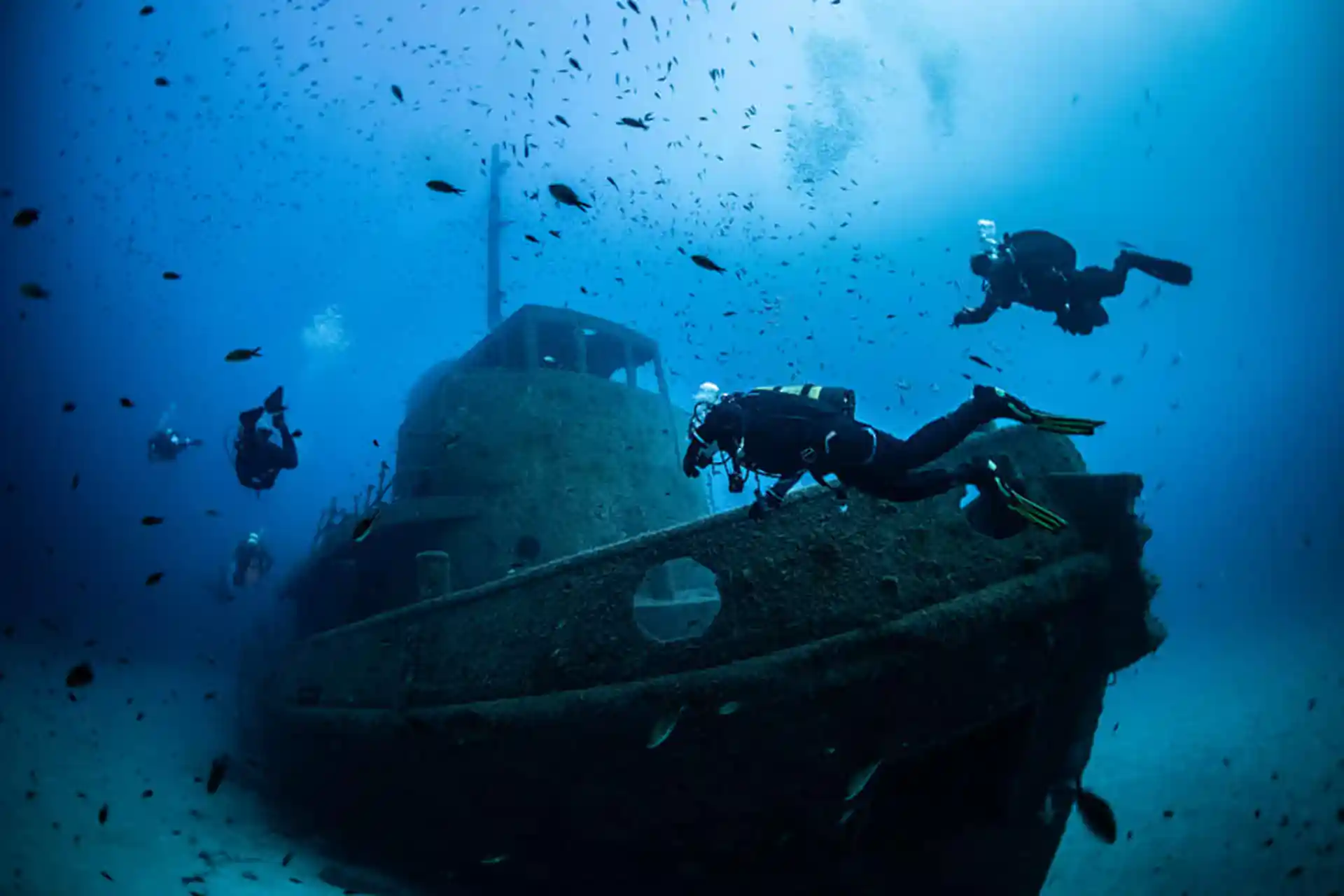 Exploring The Tug Boats