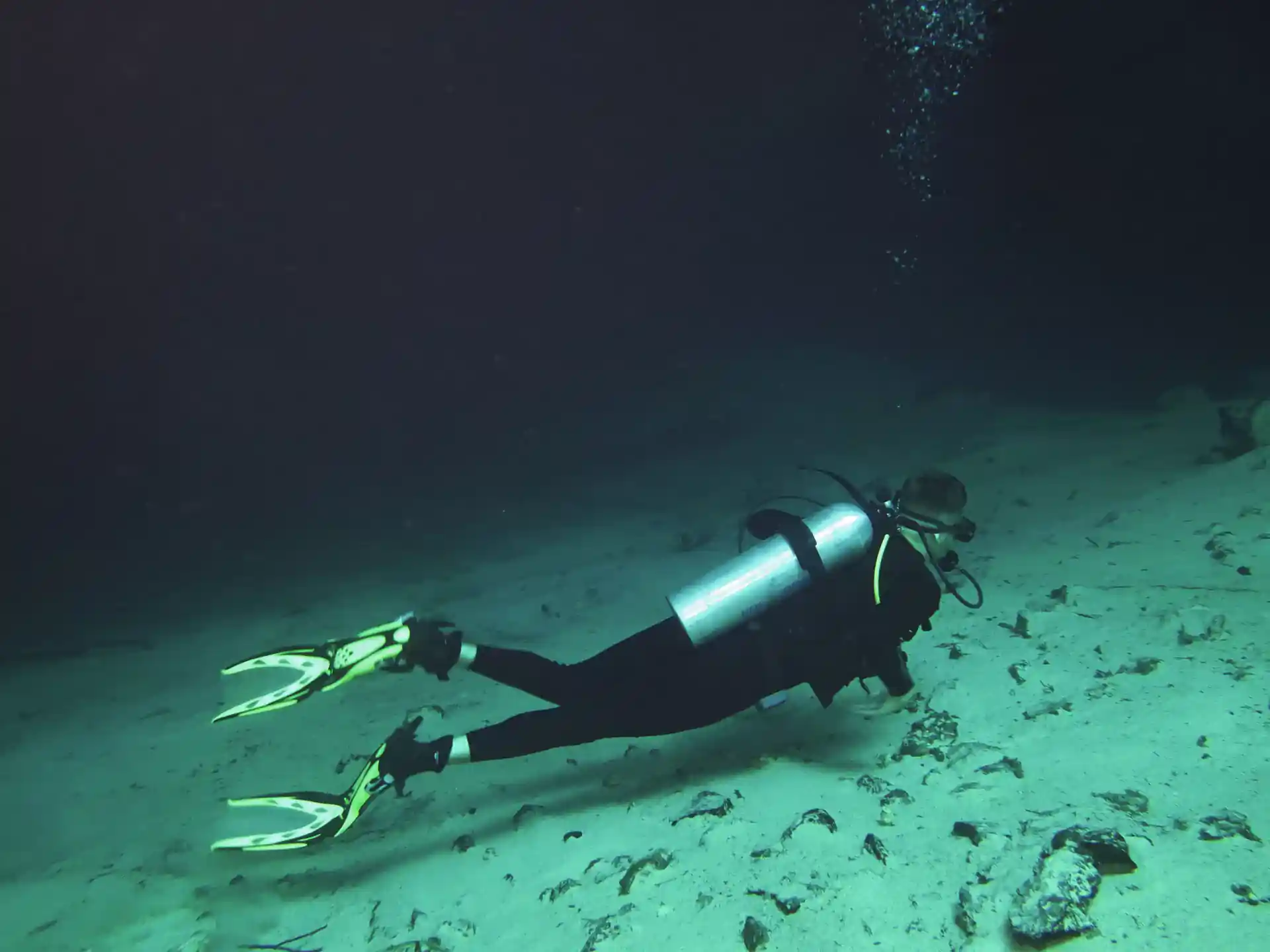 Photo de l'activité