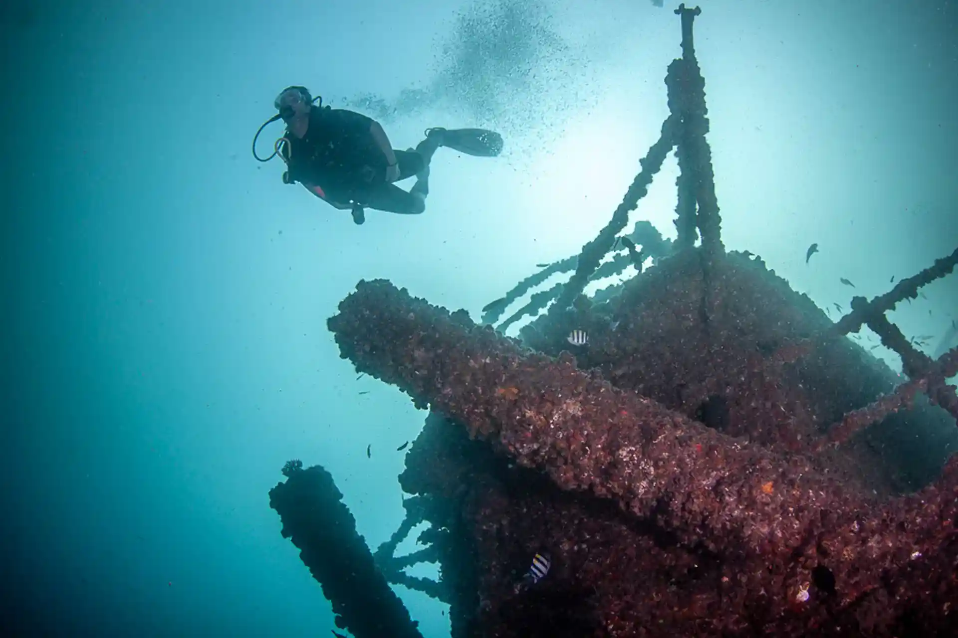Dive site photo