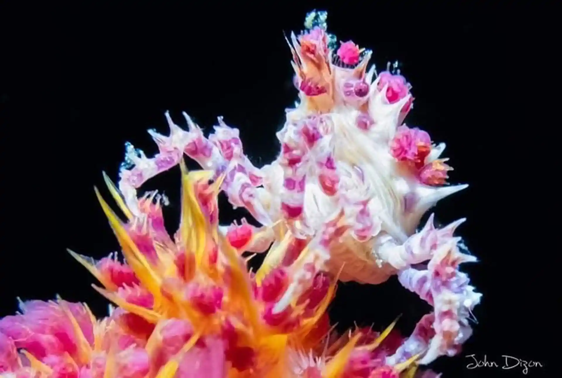 Dive shop photo
