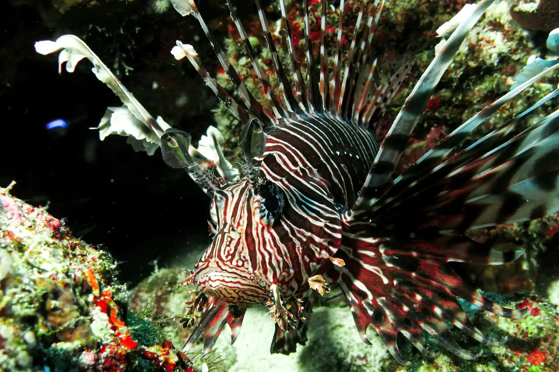 Dive site photo