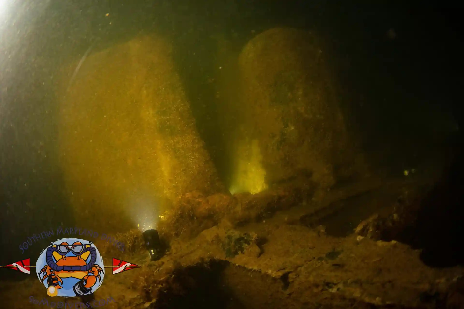 ダイビングサイトの写真