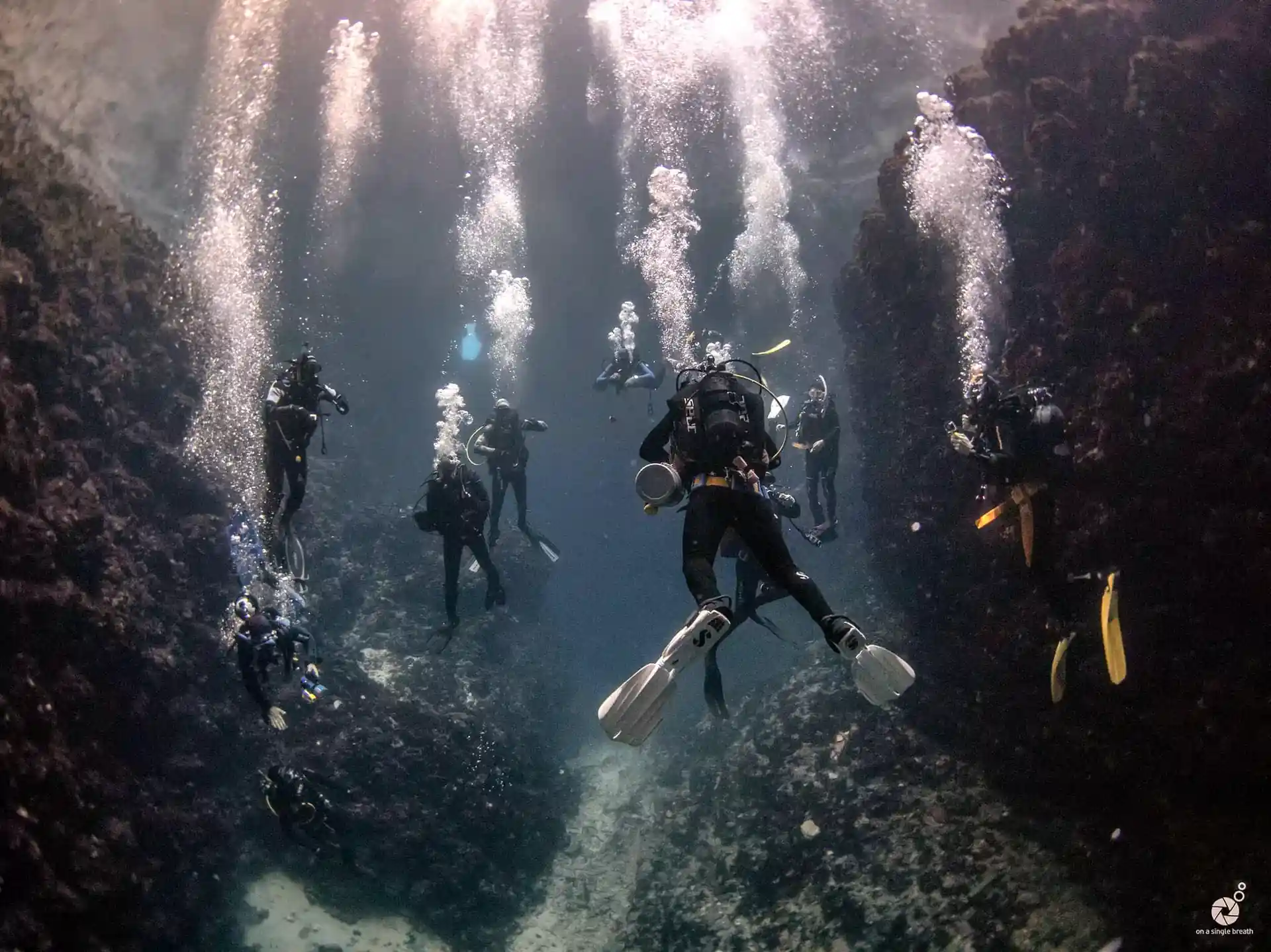 Dive shop photo