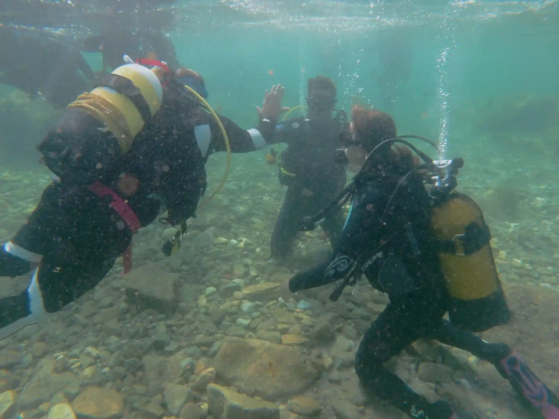 Foto de la actividad