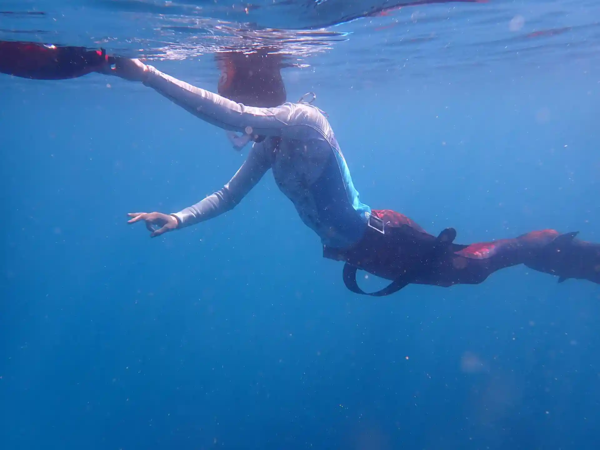 This mermaid is ready to dive!