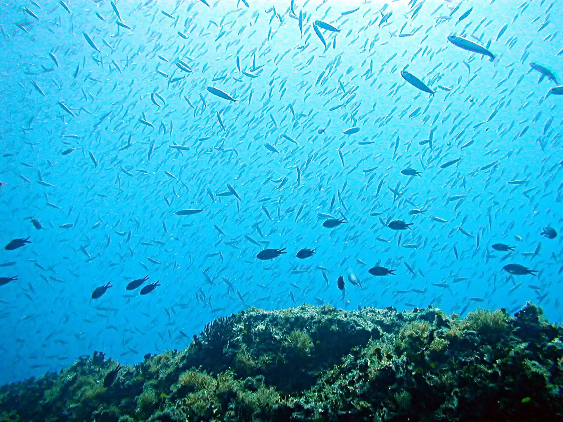 Foto des Tauchplatzes