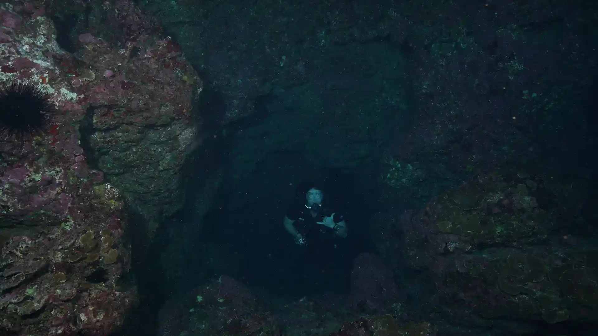 Dive site photo
