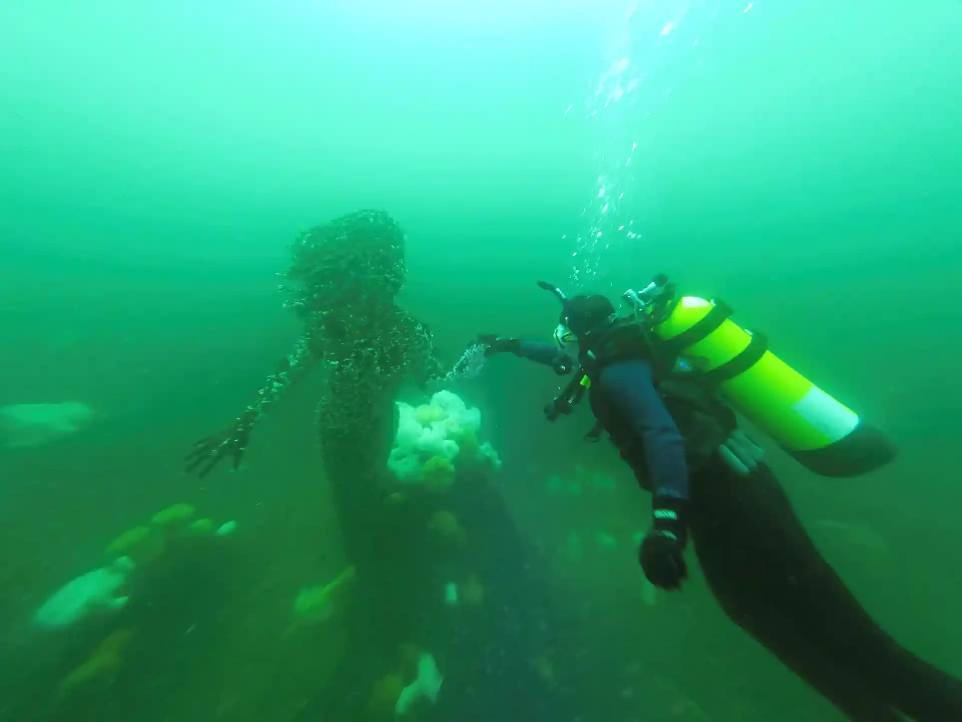 다이빙 포인트 사진