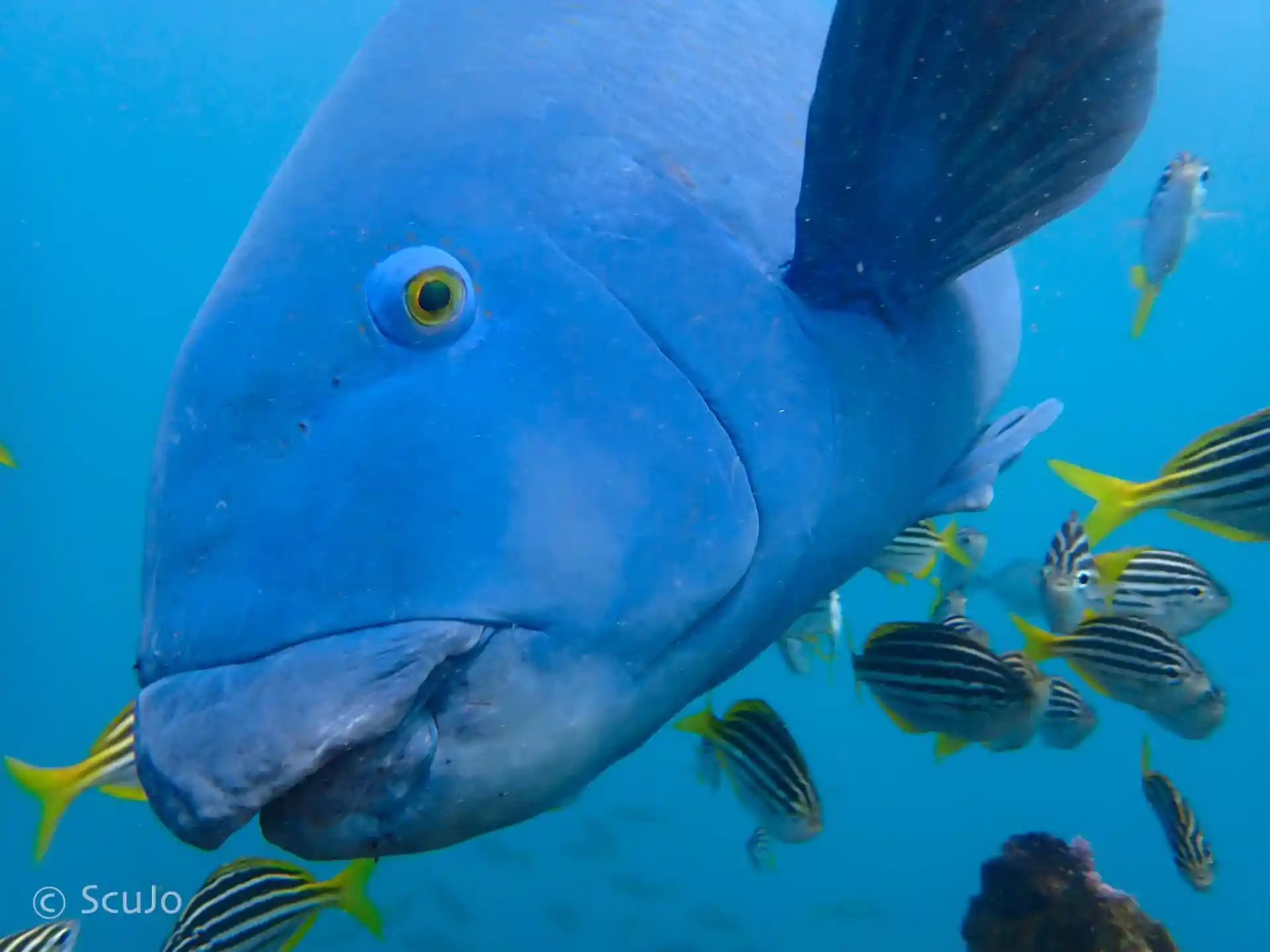 Dive shop photo