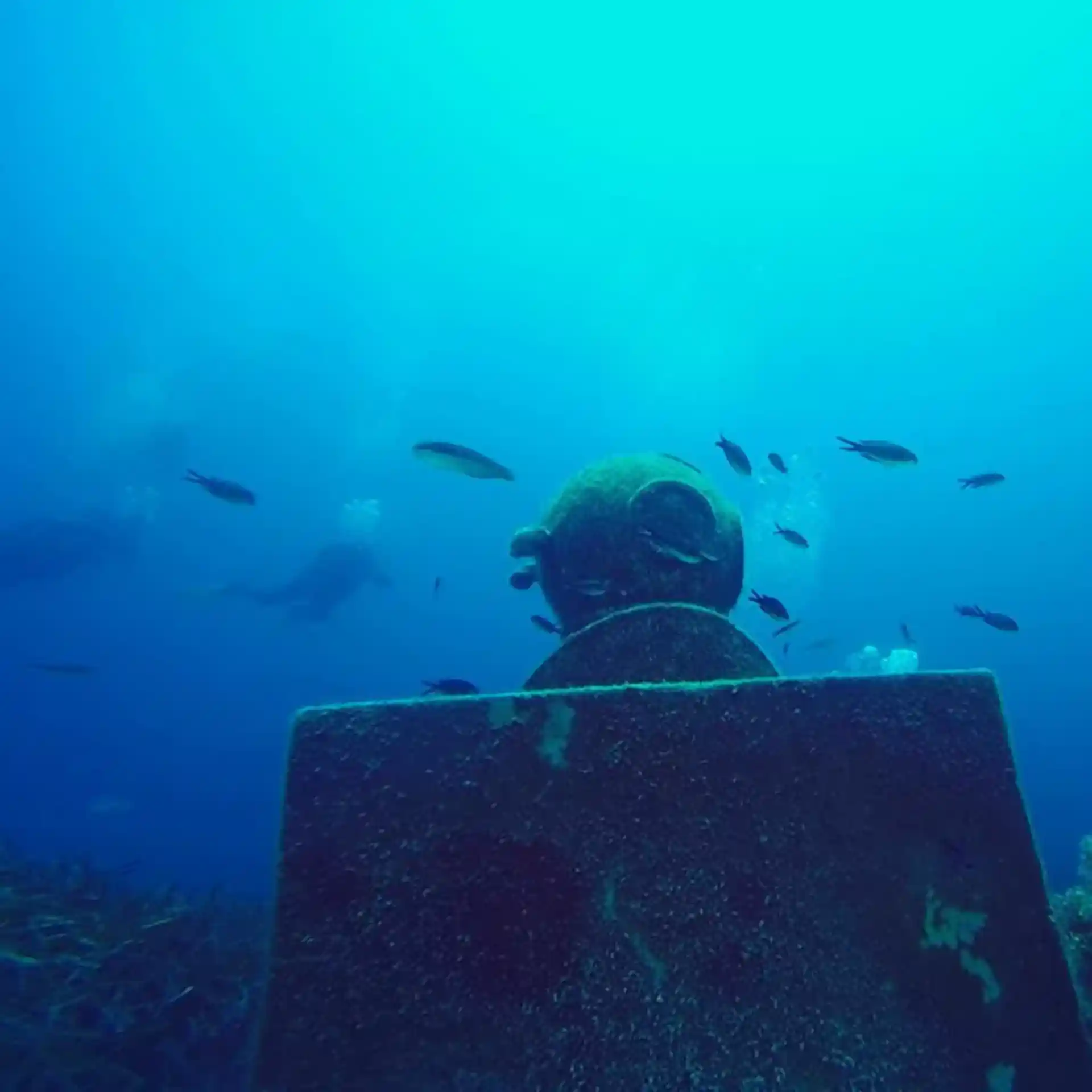 Dive site photo