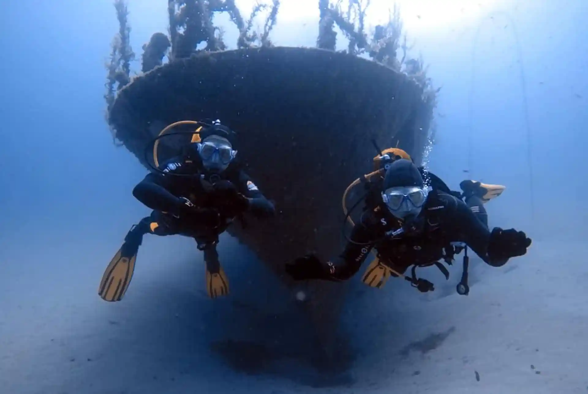 Lots of wrecks to explore