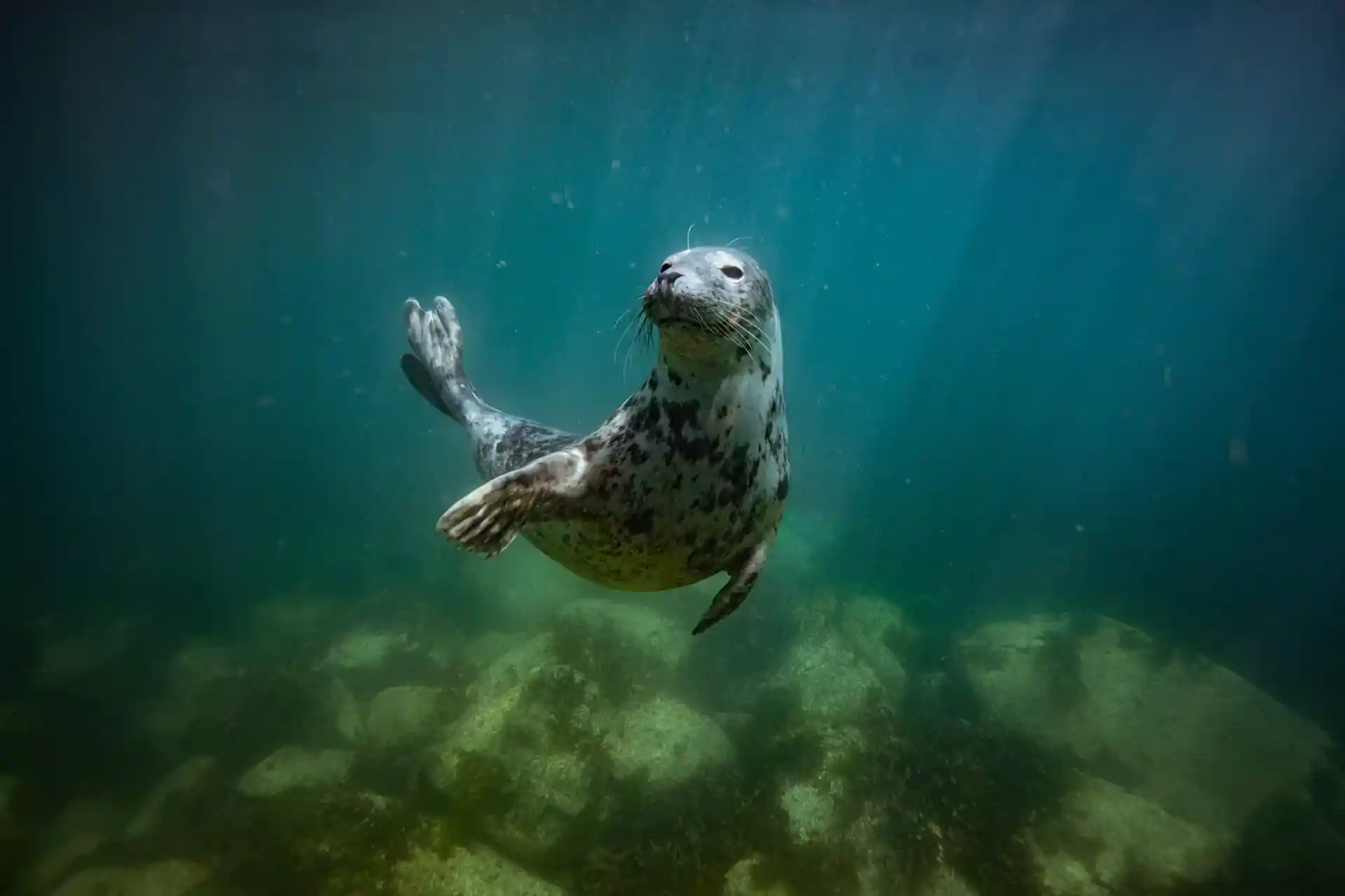 다이빙 포인트 사진