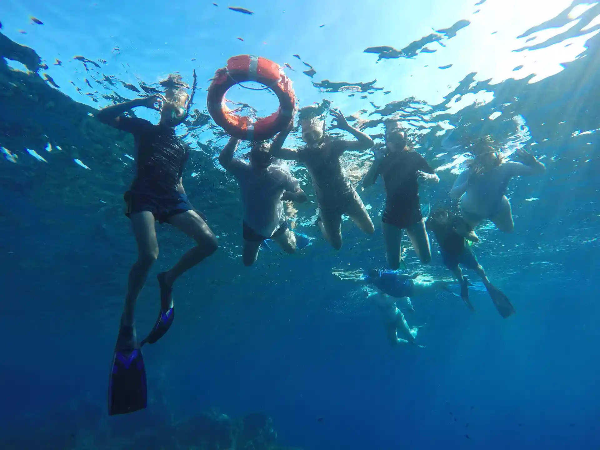 Photo de l'activité