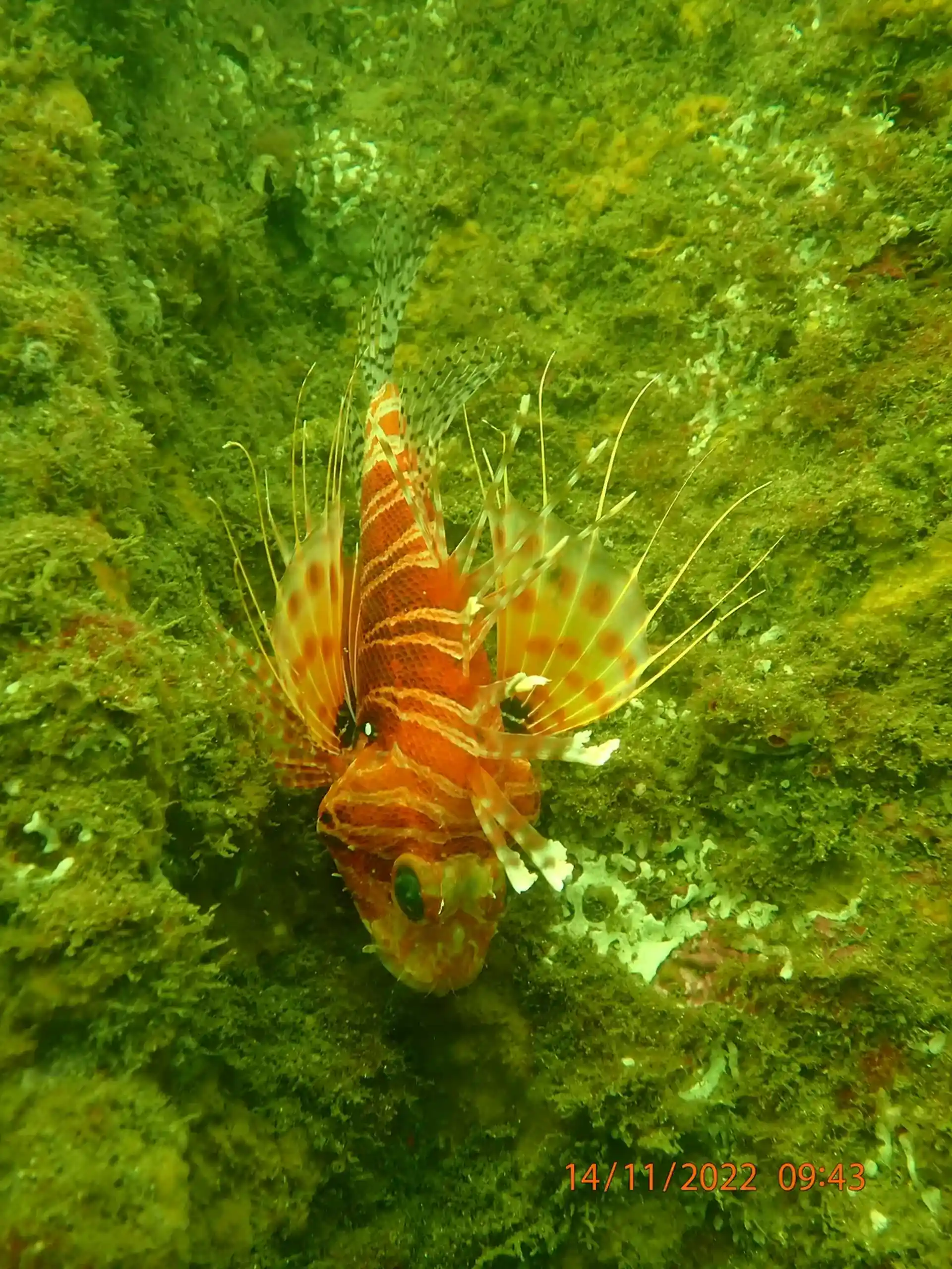 Dive site photo