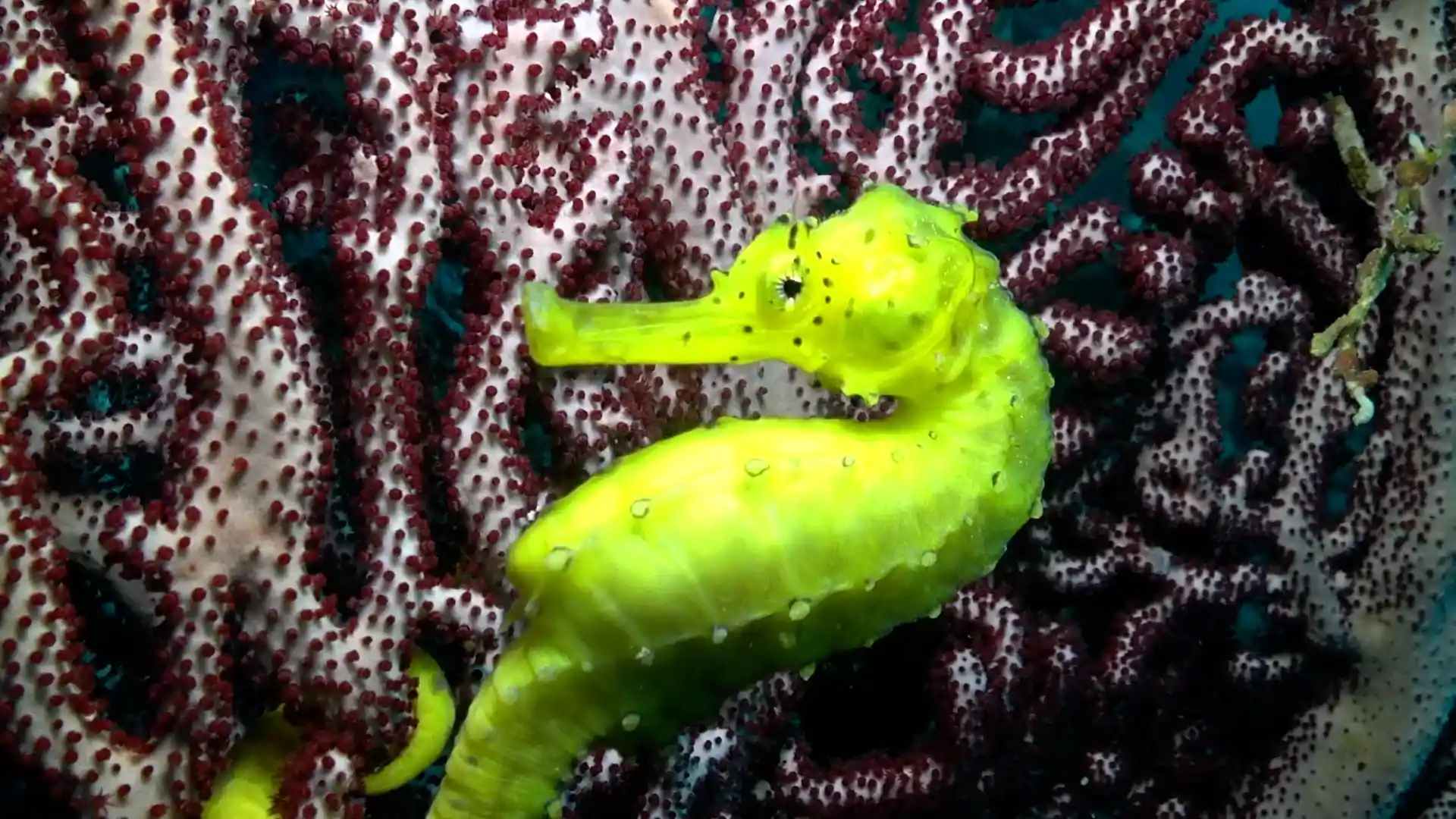Dive shop photo