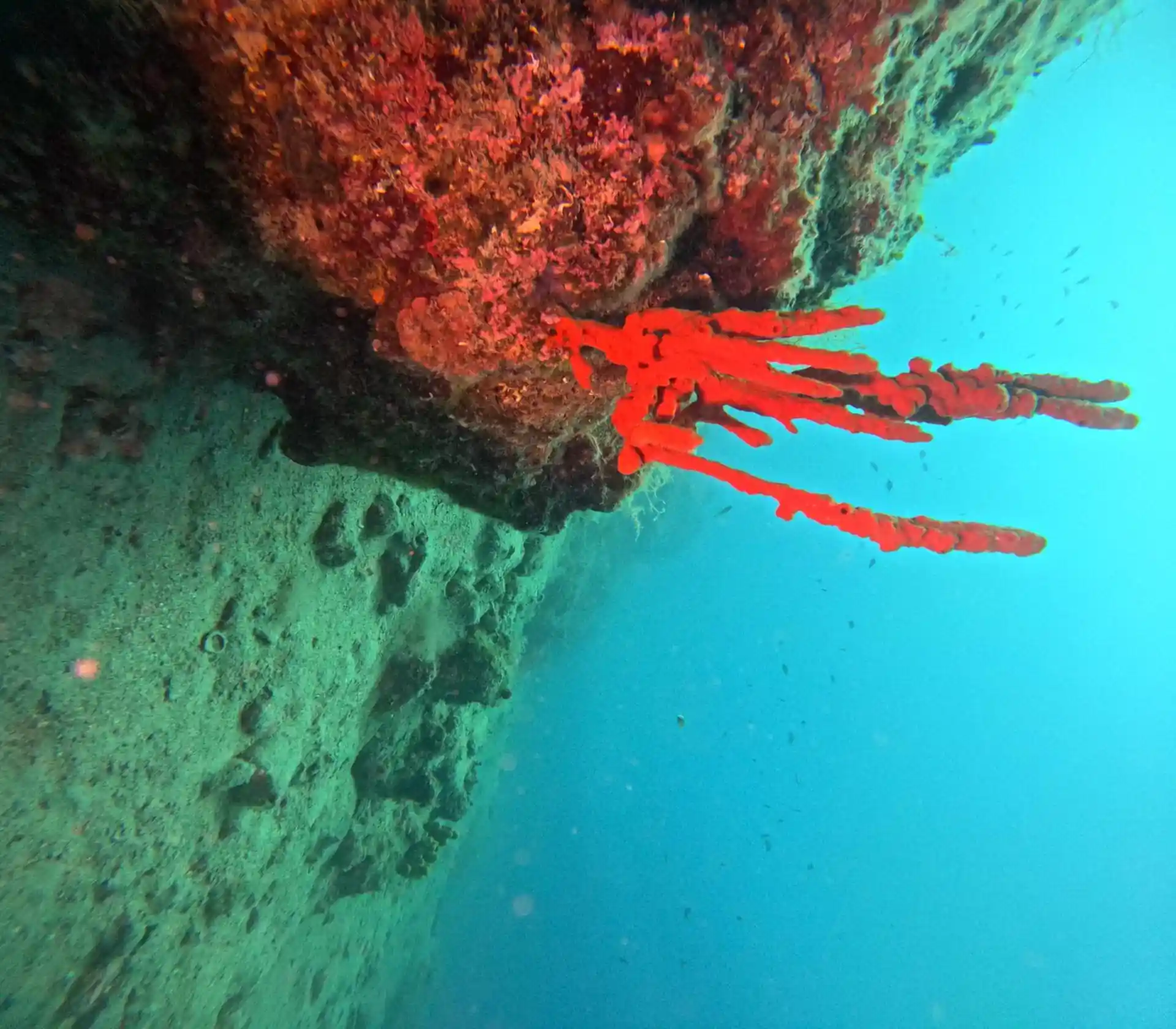 Dive site photo