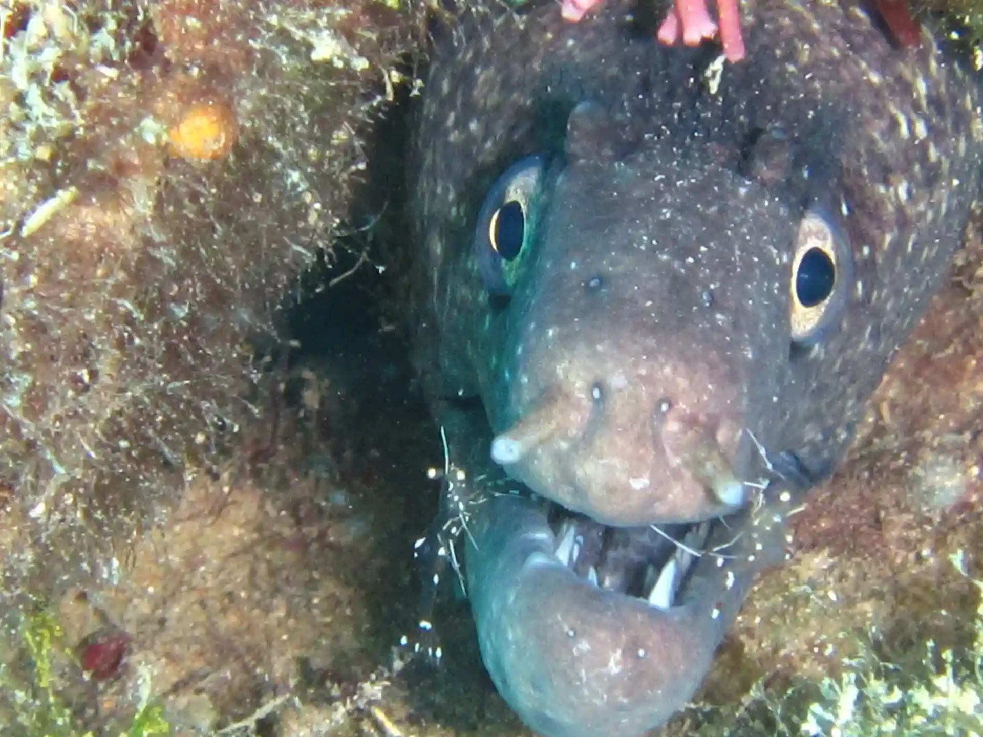 Dive site photo