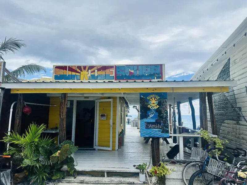 Dive operator picture