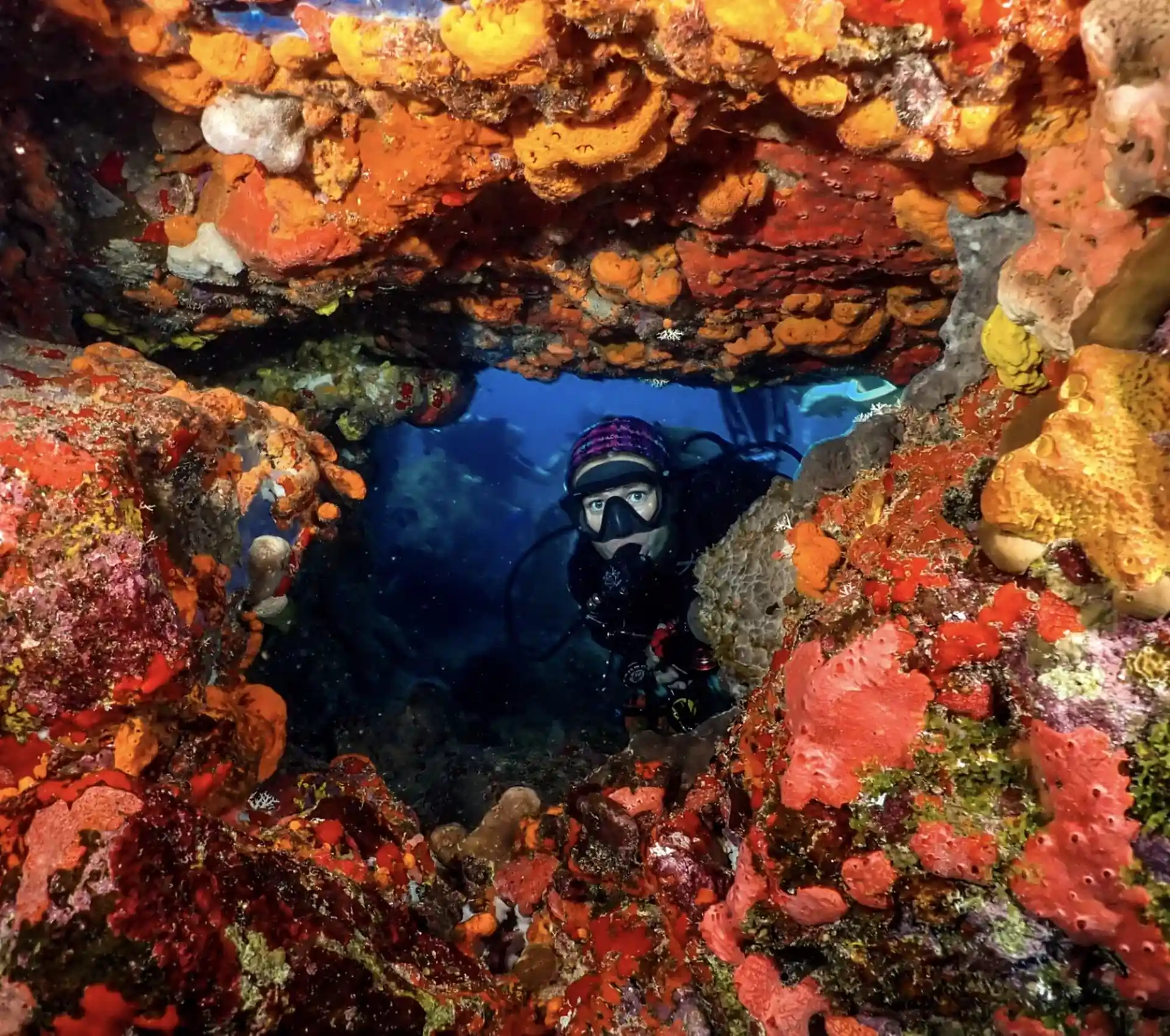 Dive shop photo