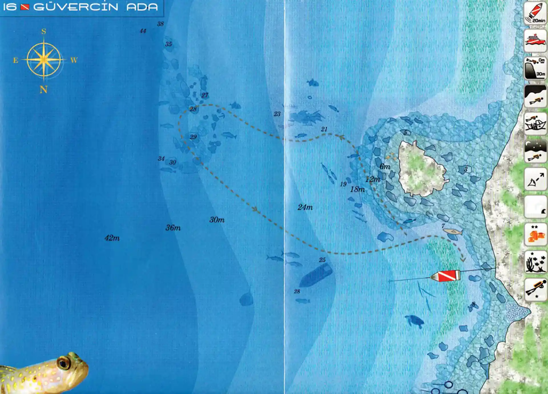 ダイビングサイトの写真