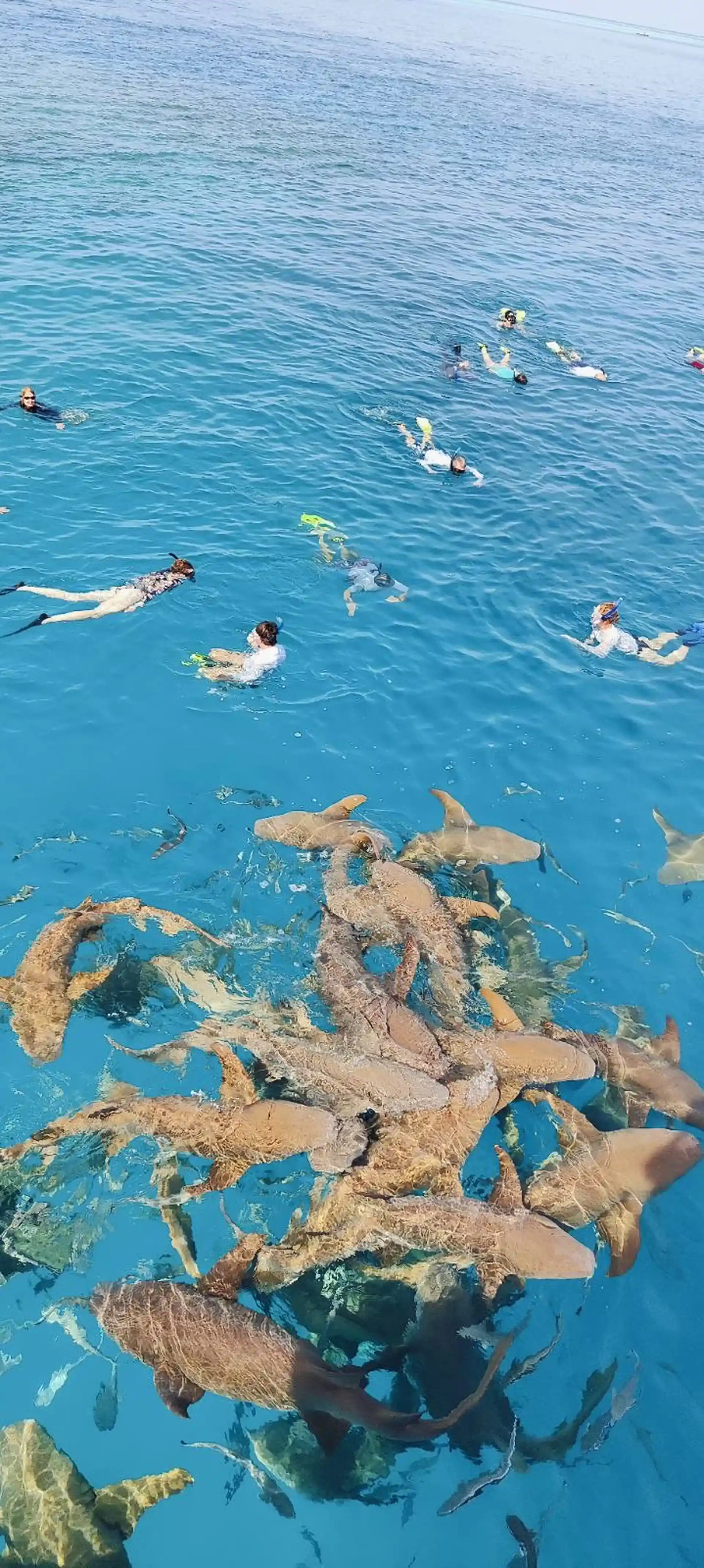 Foto de la tienda de buceo