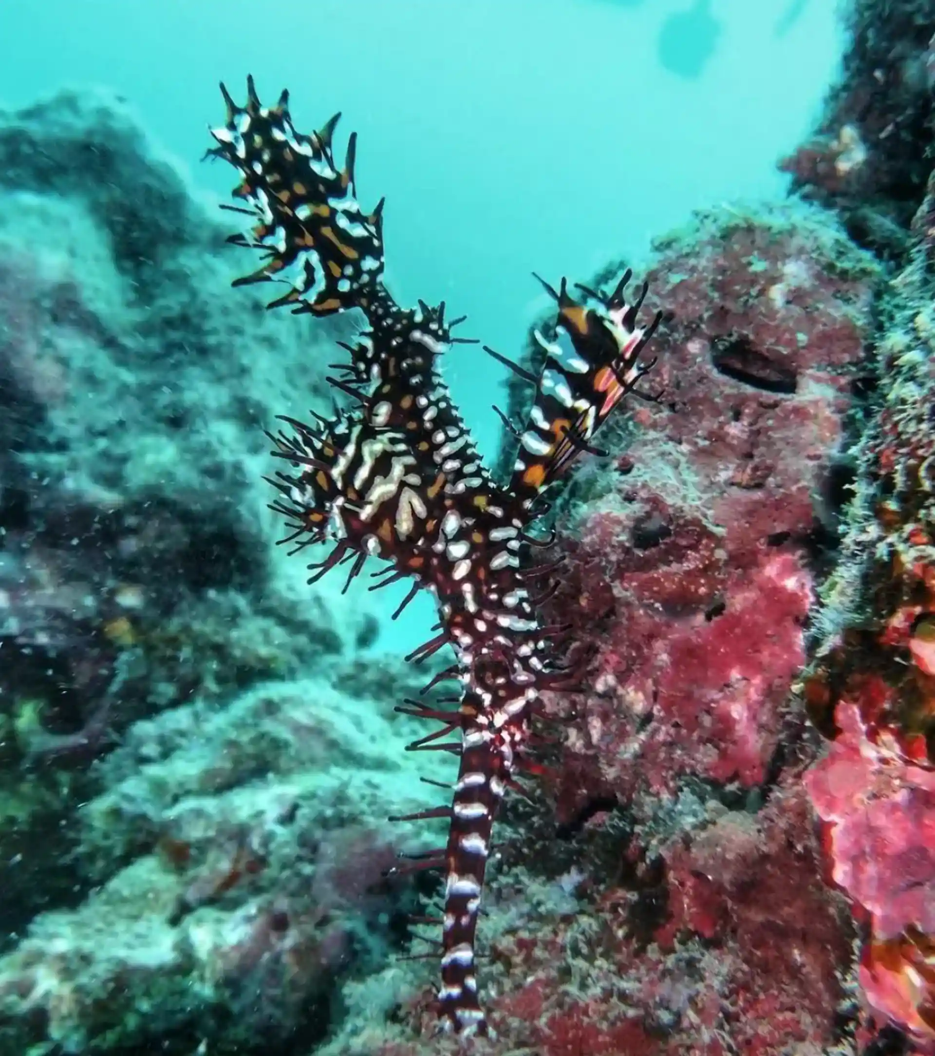 다이빙 포인트 사진