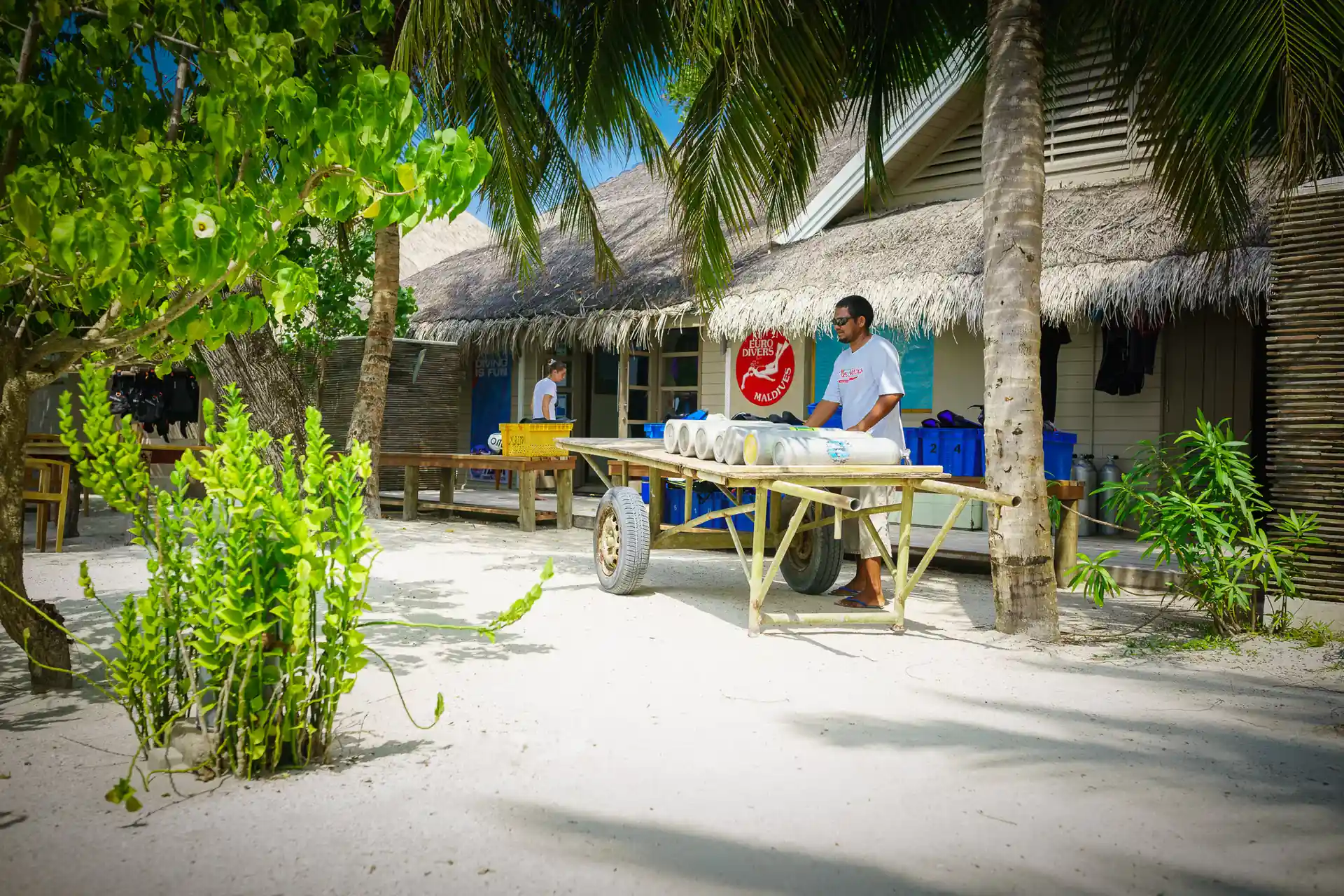 Dive shop photo