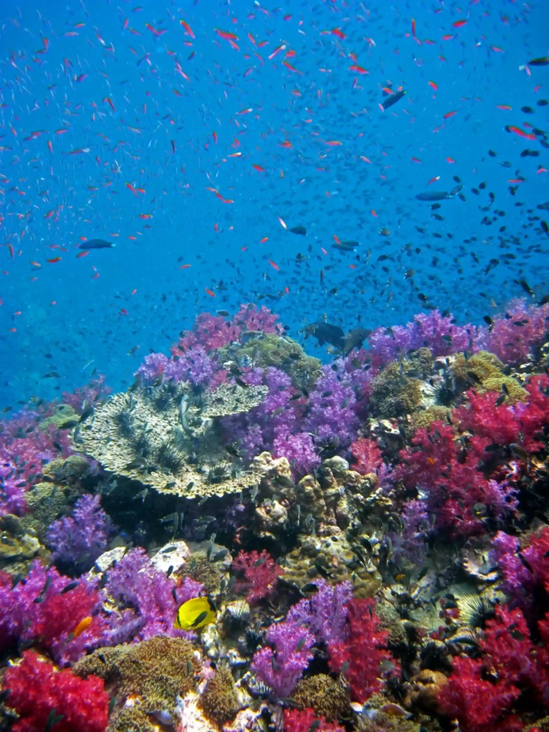 Photo de l'activité