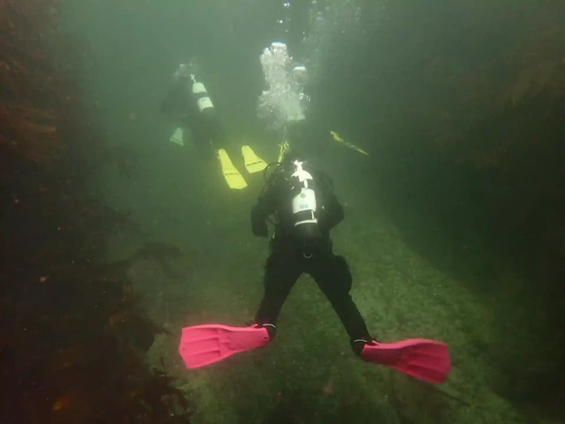 Dive site photo