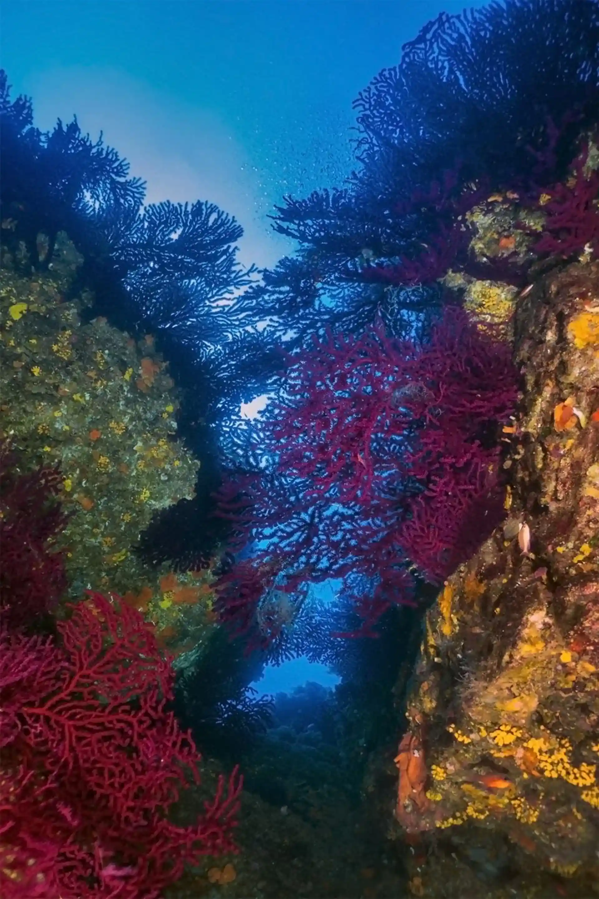 Photo de l'activité