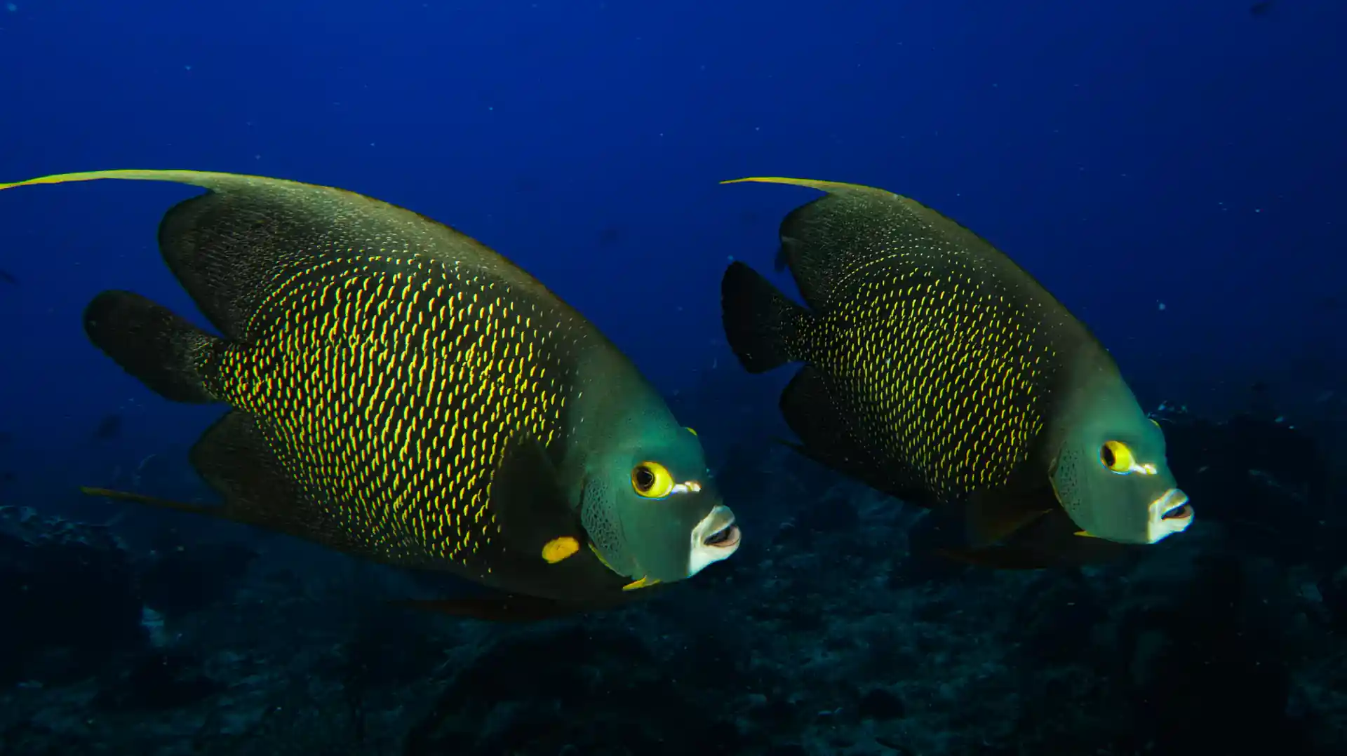 Photo de l'activité