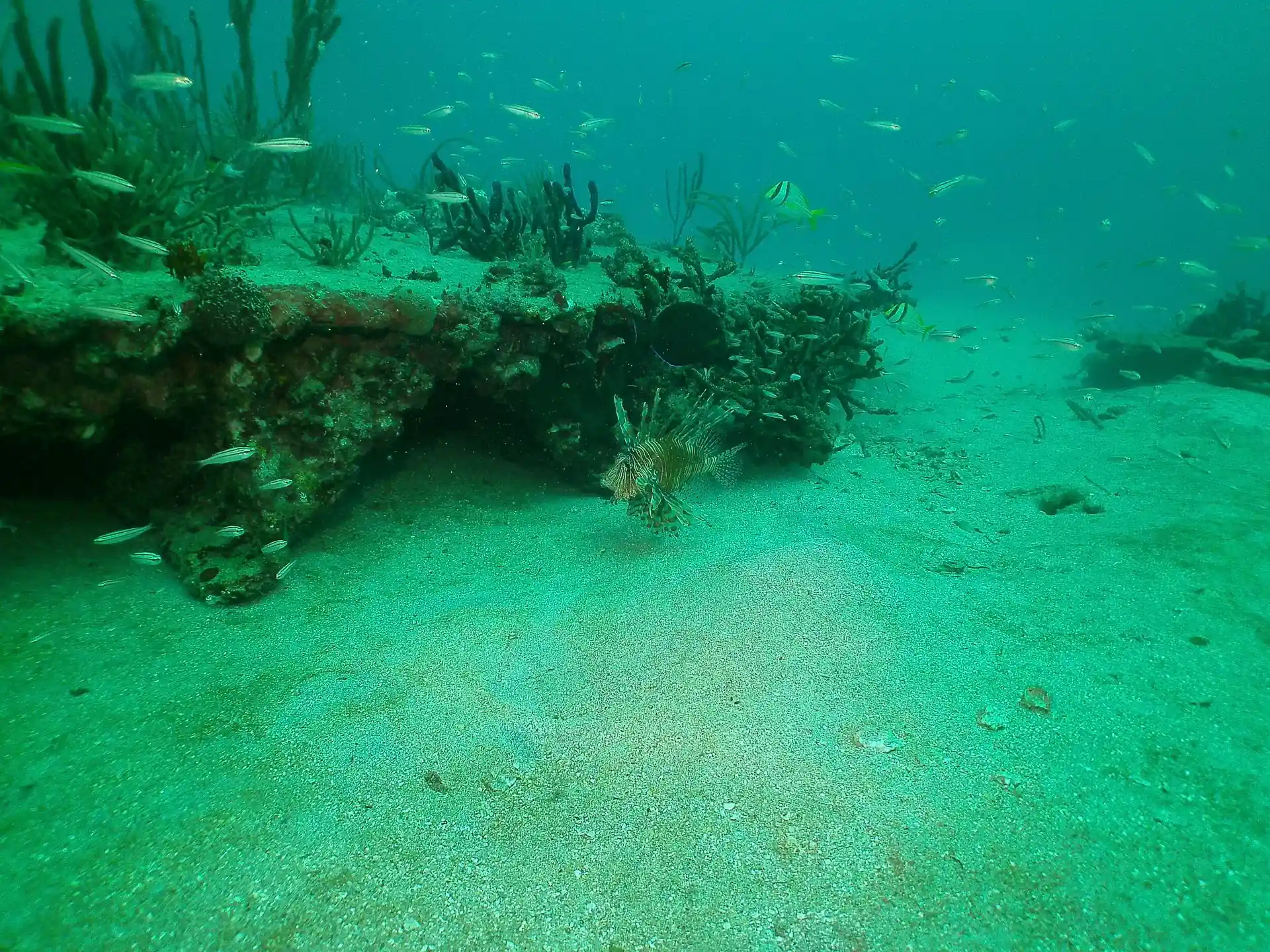 Foto van de duiklocatie