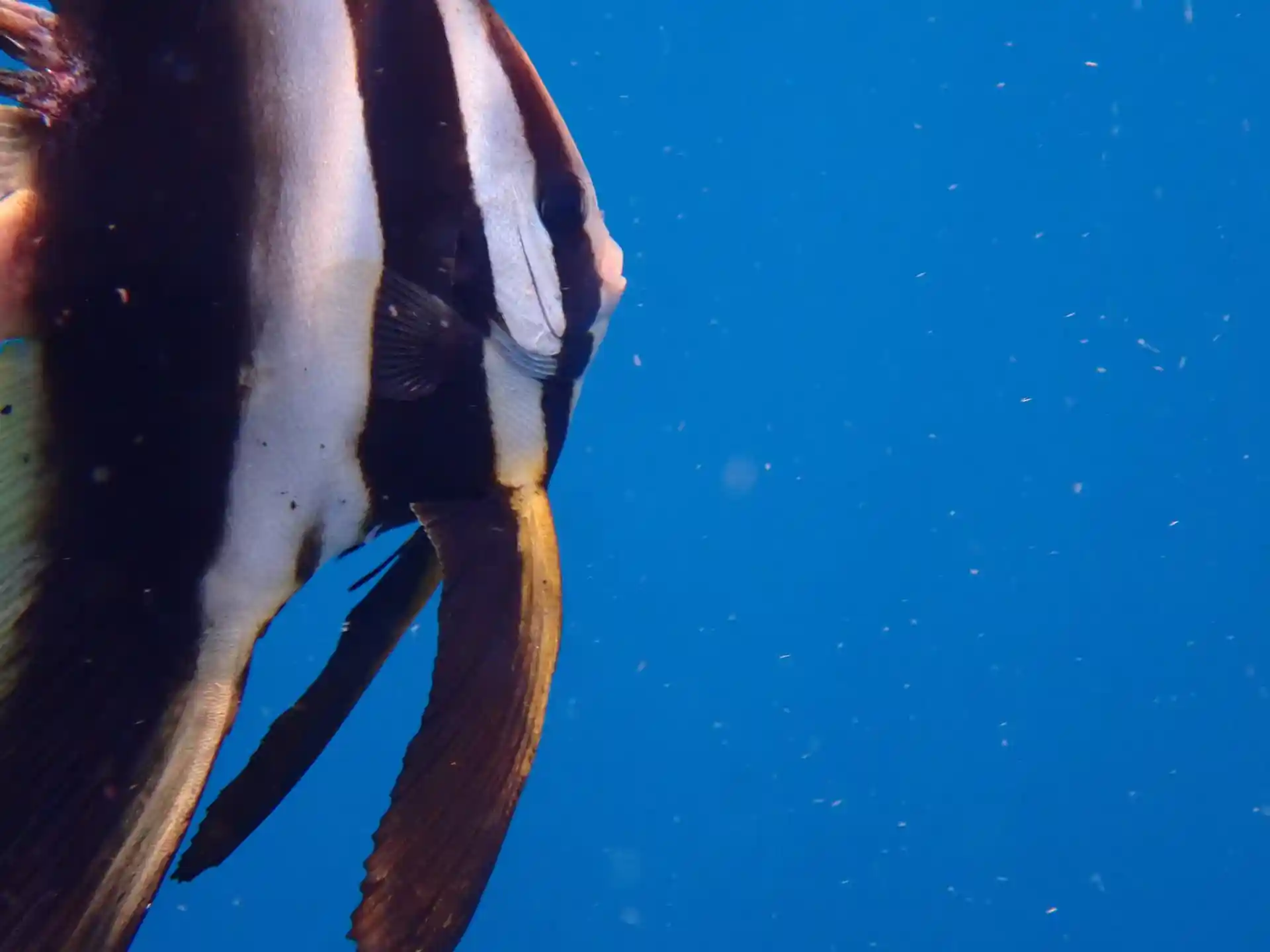 Dive site photo