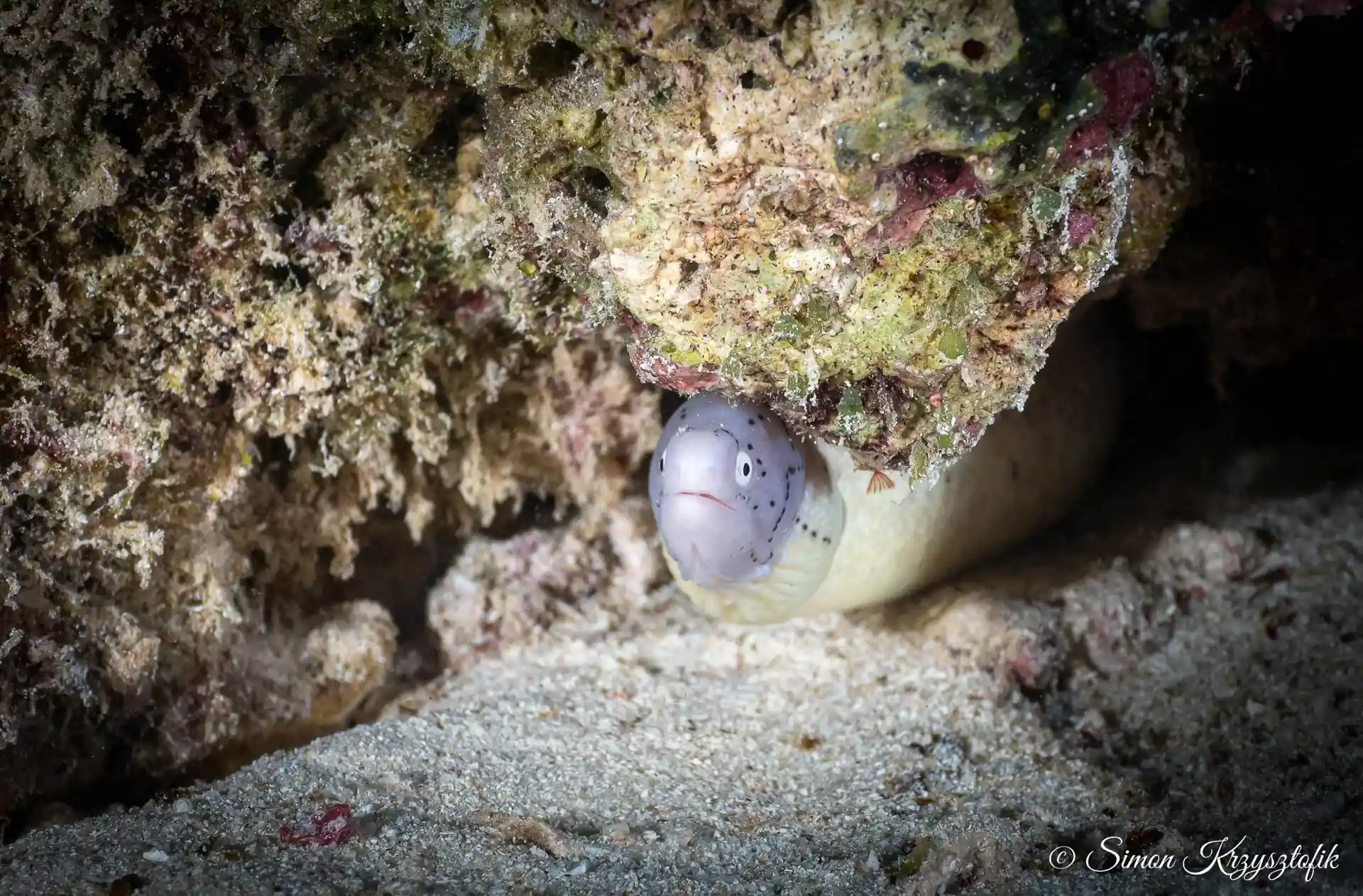 Dive site photo