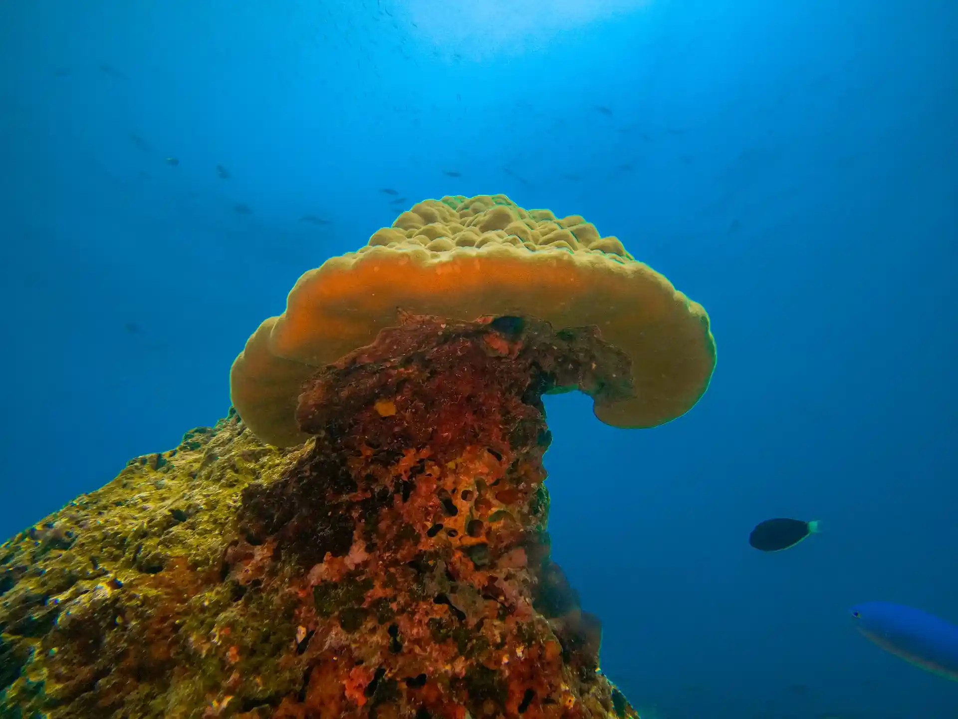Dive site photo