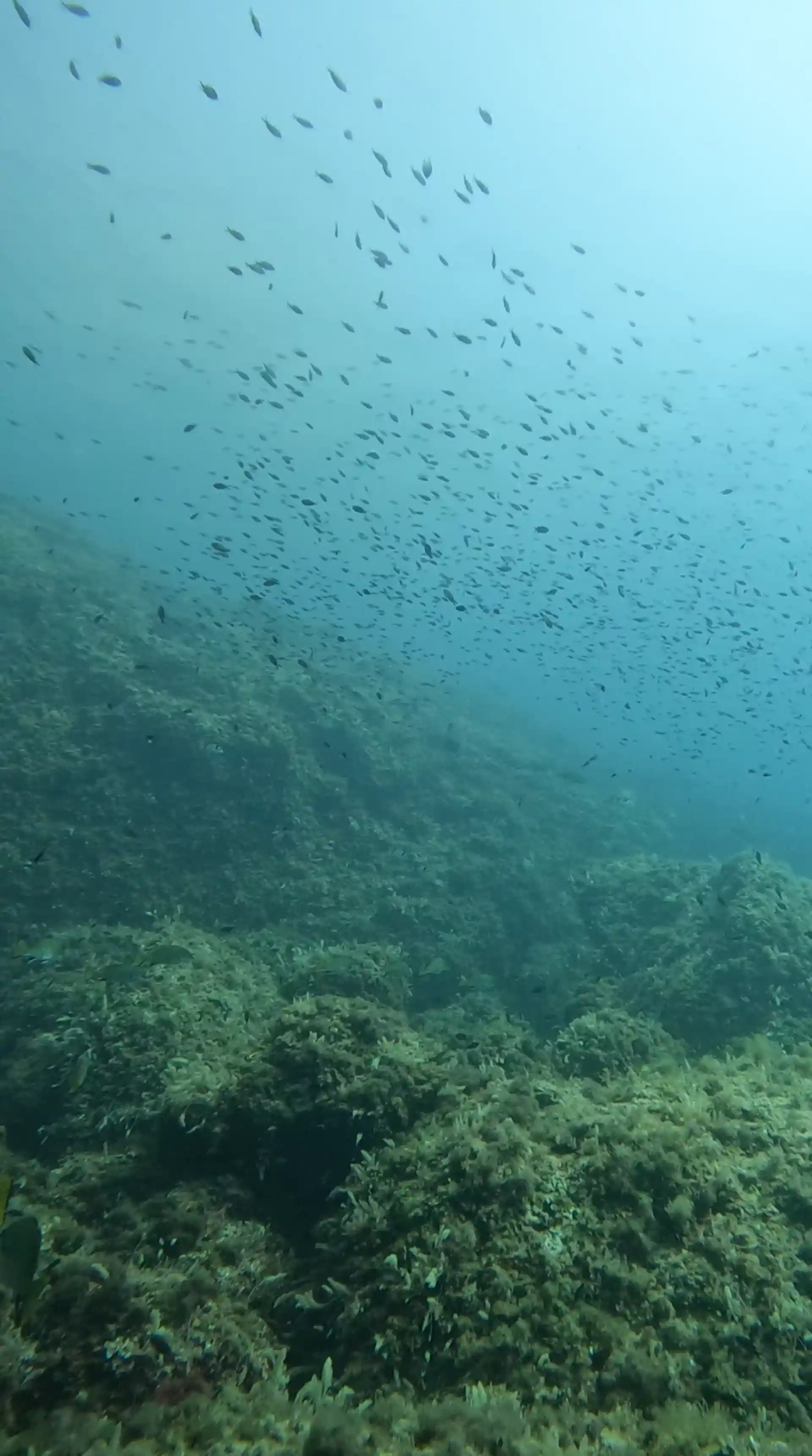 Dive site photo