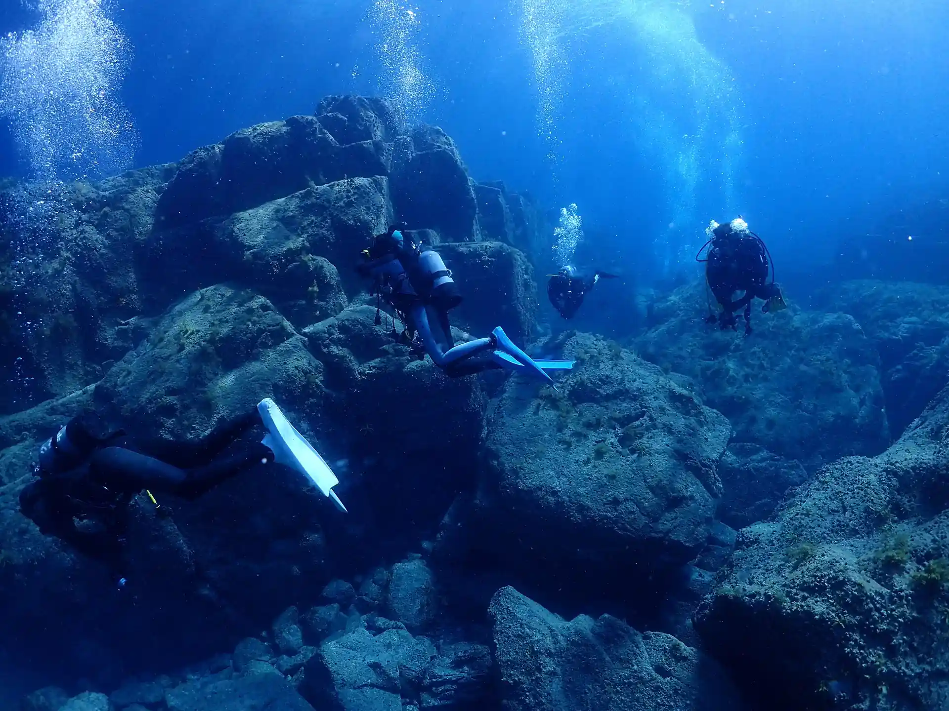 Dive shop photo