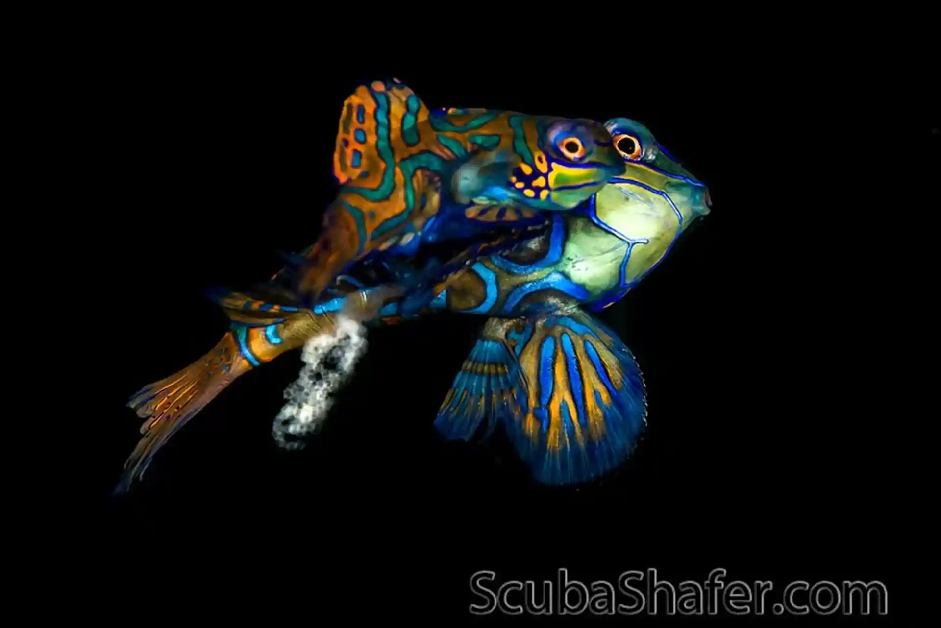 Dive site photo