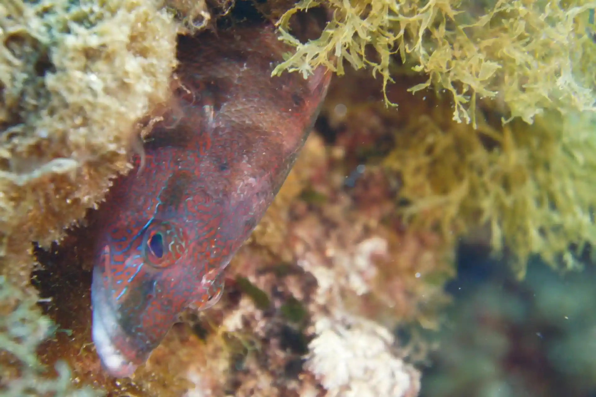 다이빙 포인트 사진